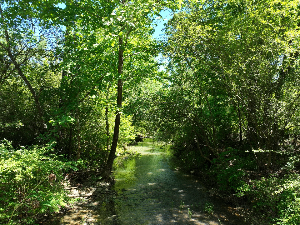 Point Cedar, AR 71921 - image 24