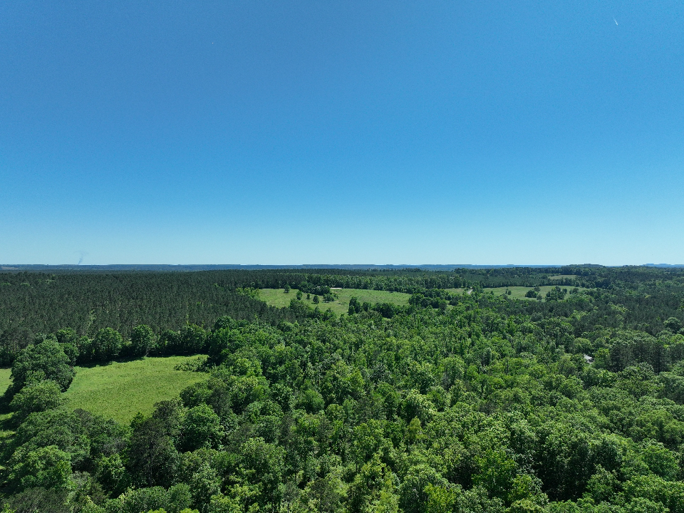 Point Cedar, AR 71921 - image 3