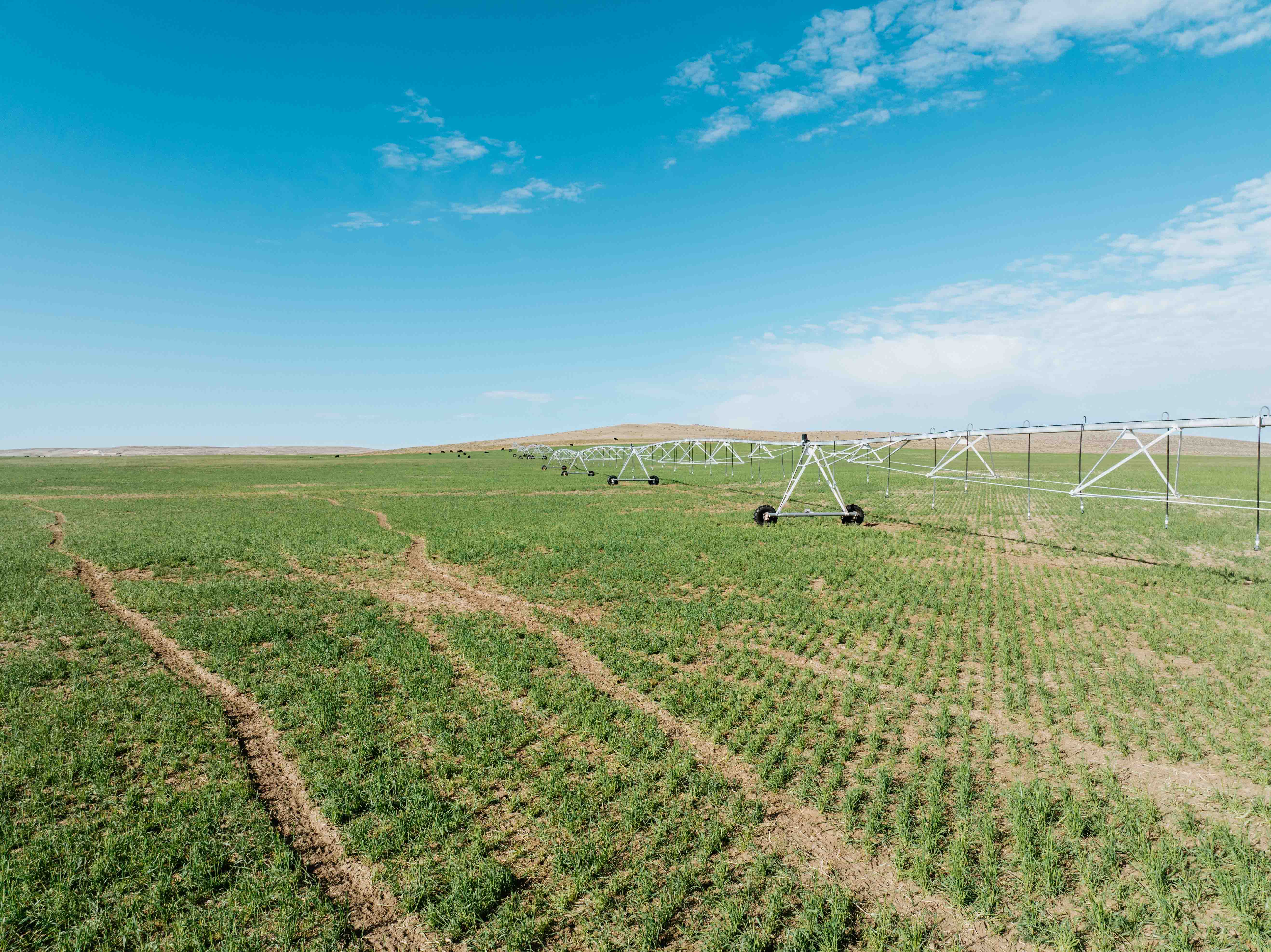 Scottsbluff, NE 68000 - image 36