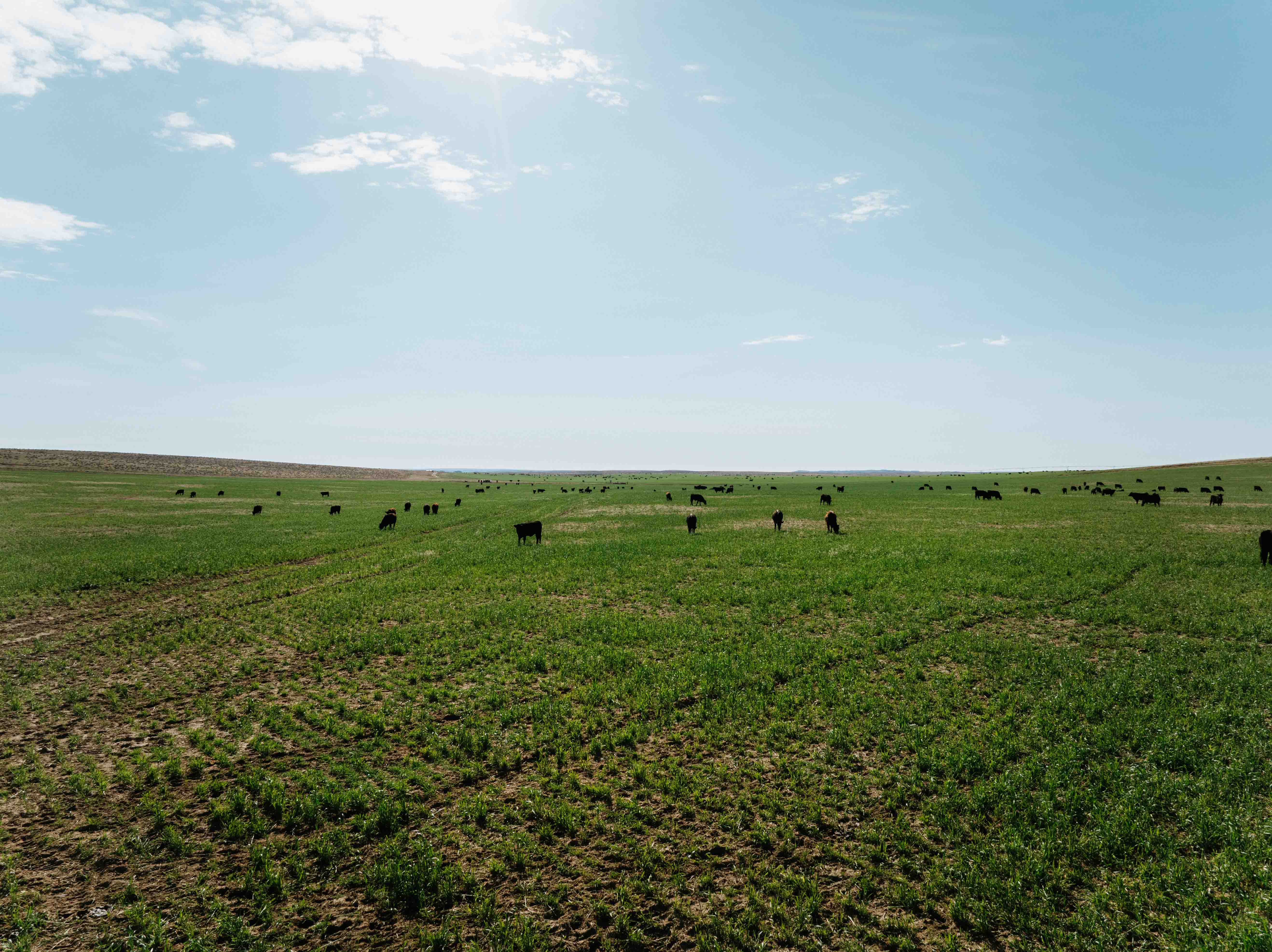 Scottsbluff, NE 68000 - image 25