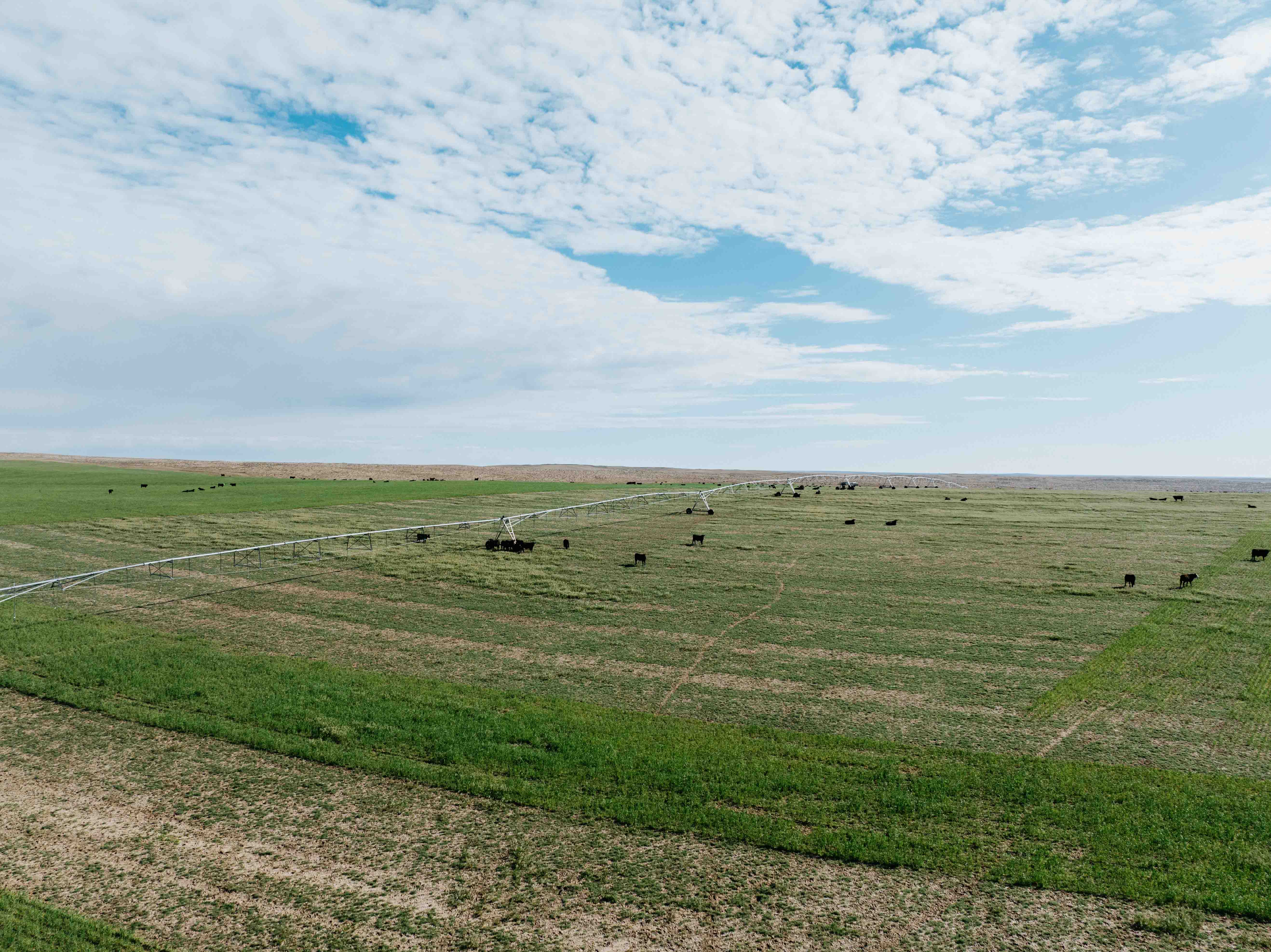 Scottsbluff, NE 68000 - image 40