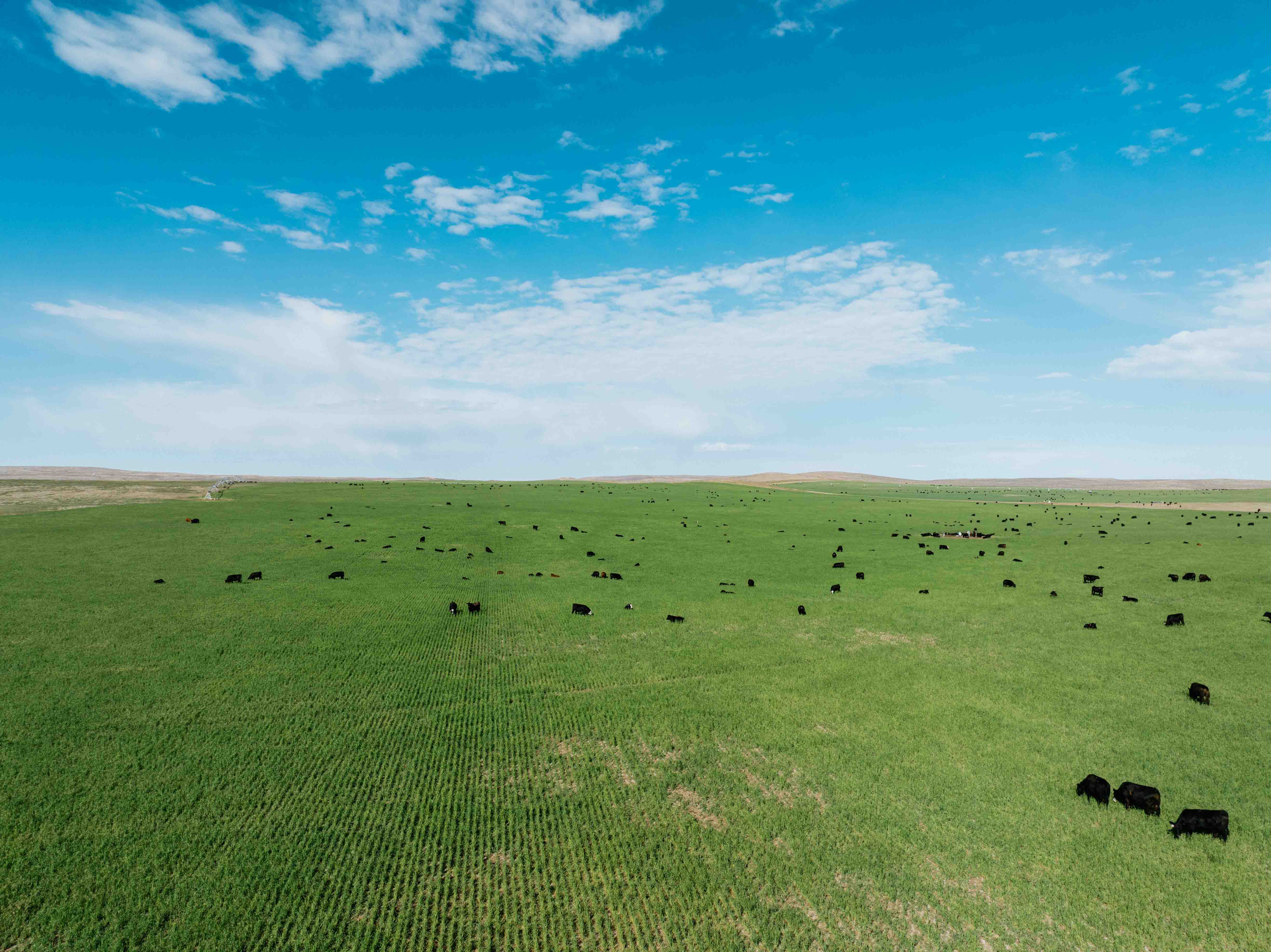 Scottsbluff, NE 68000 - image 46