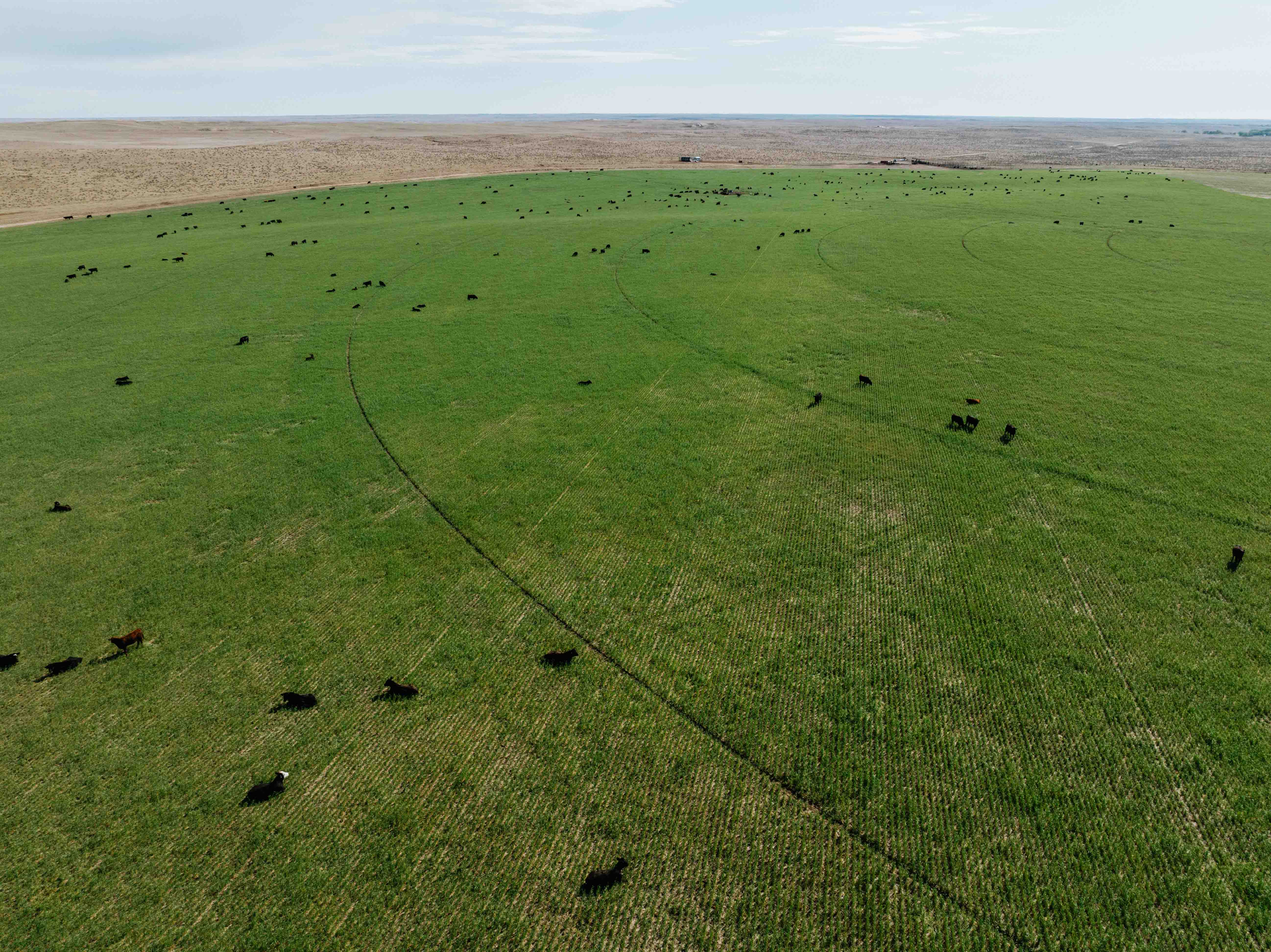 Scottsbluff, NE 68000 - image 3