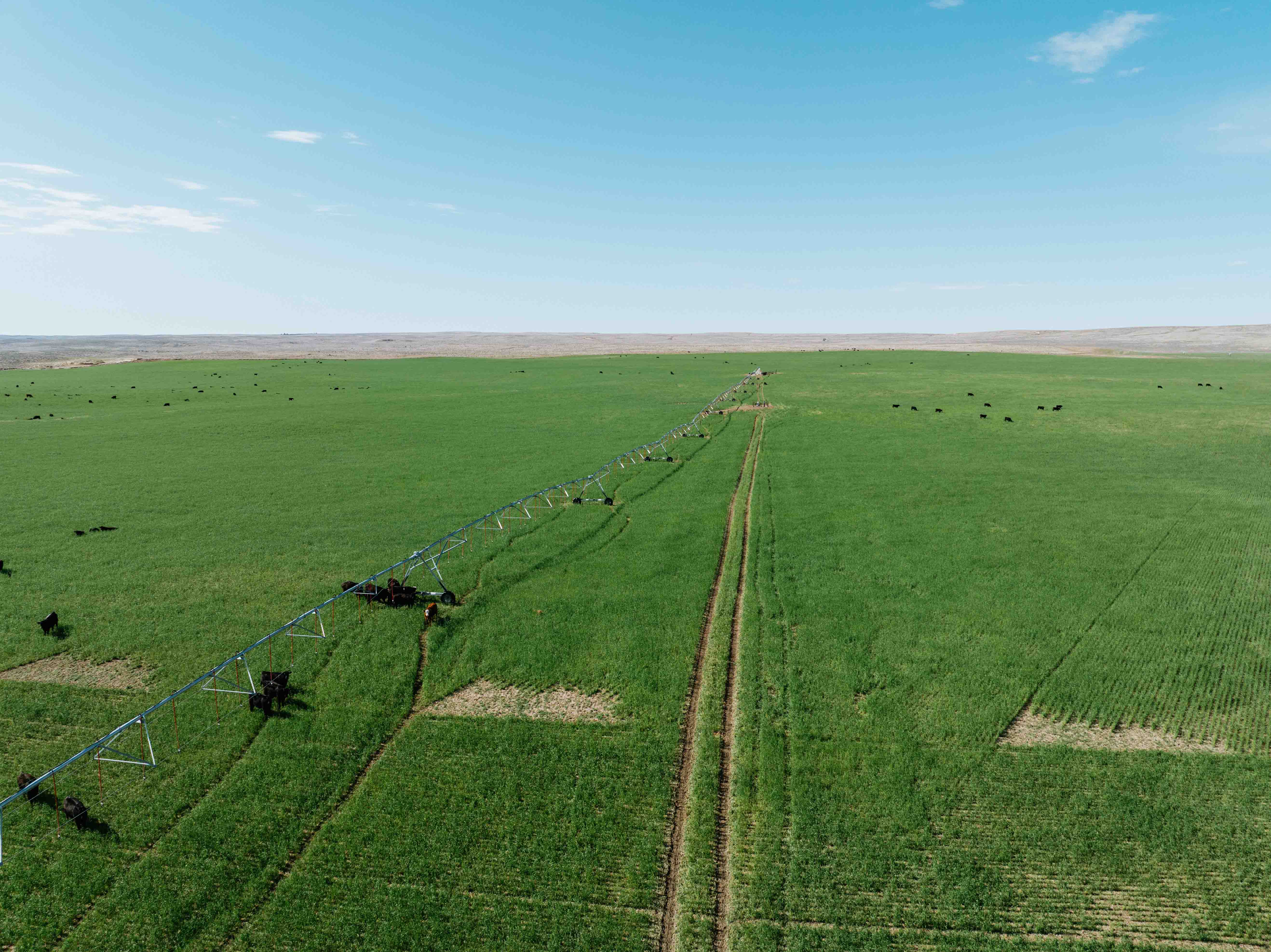 Scottsbluff, NE 68000 - image 5