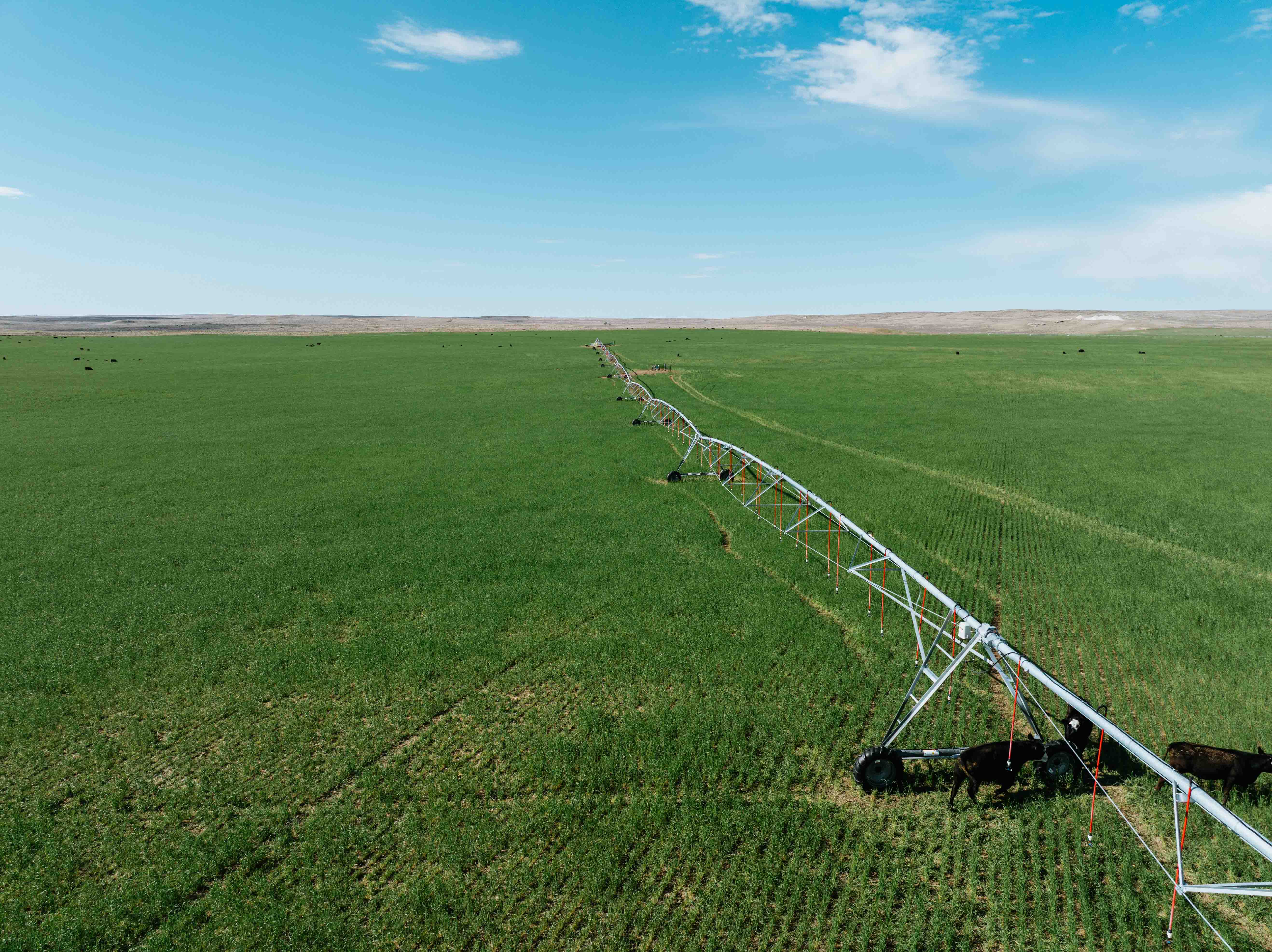 Scottsbluff, NE 68000 - image 7