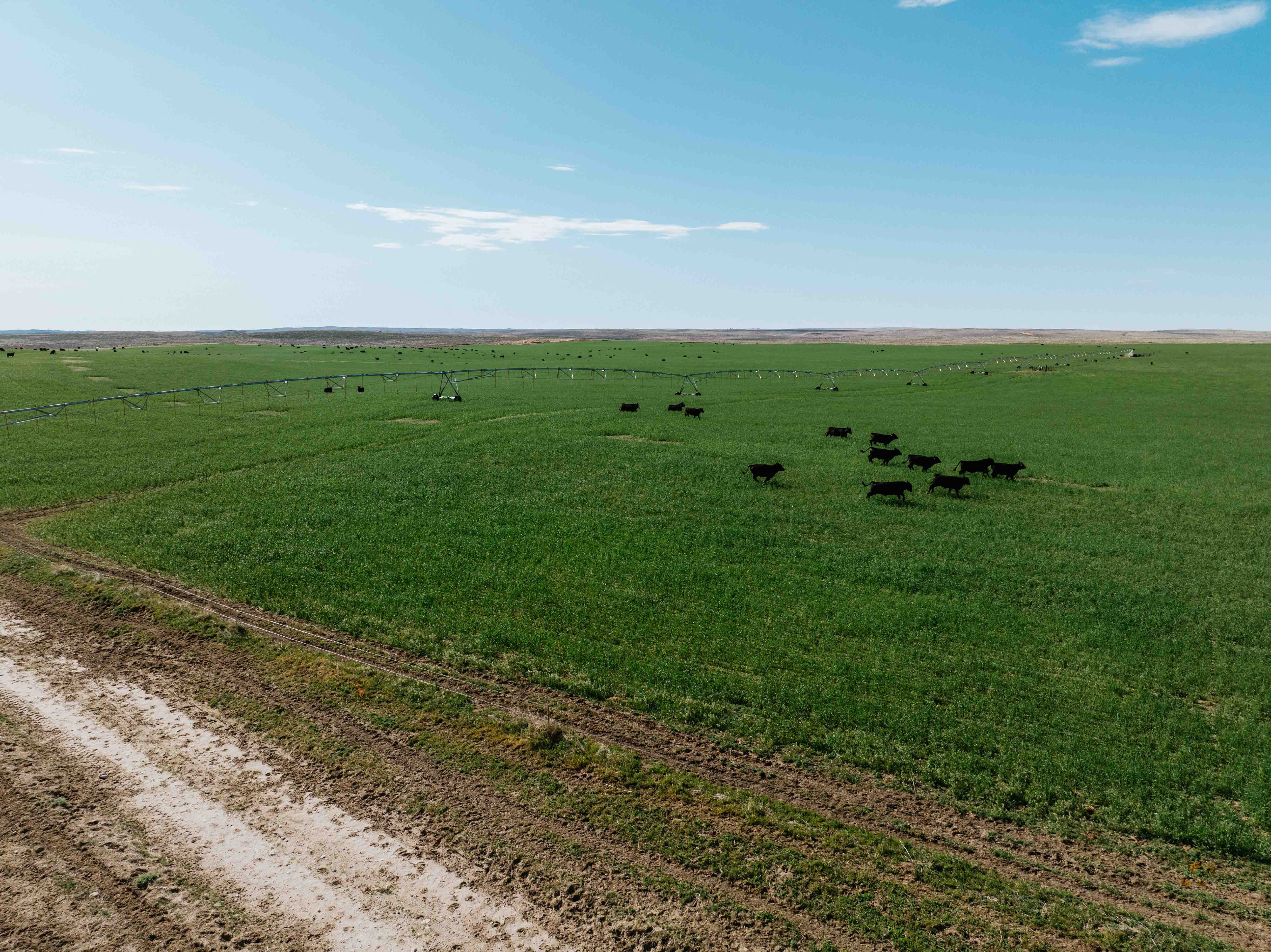 Scottsbluff, NE 68000 - image 8