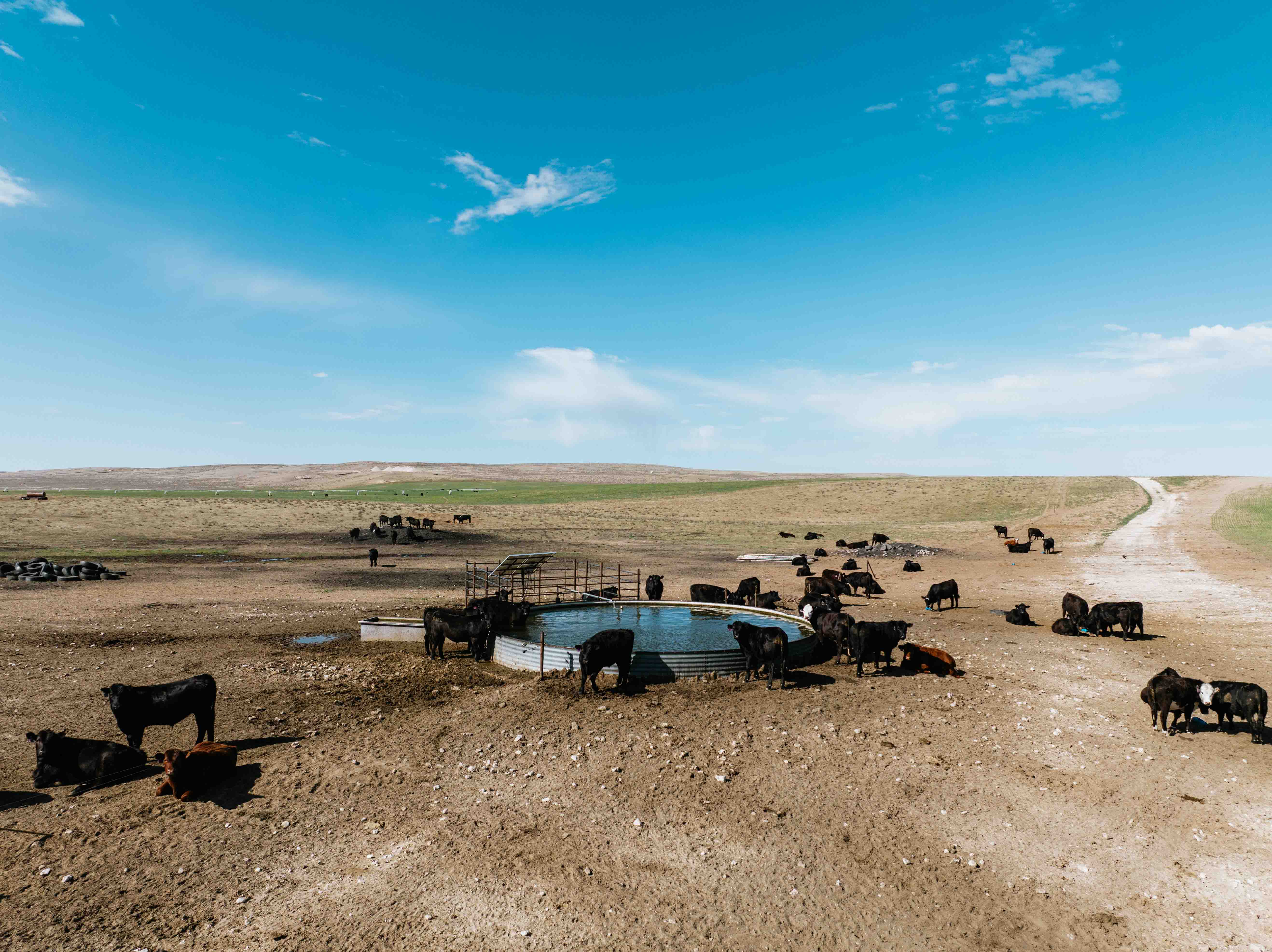 Scottsbluff, NE 68000 - image 10