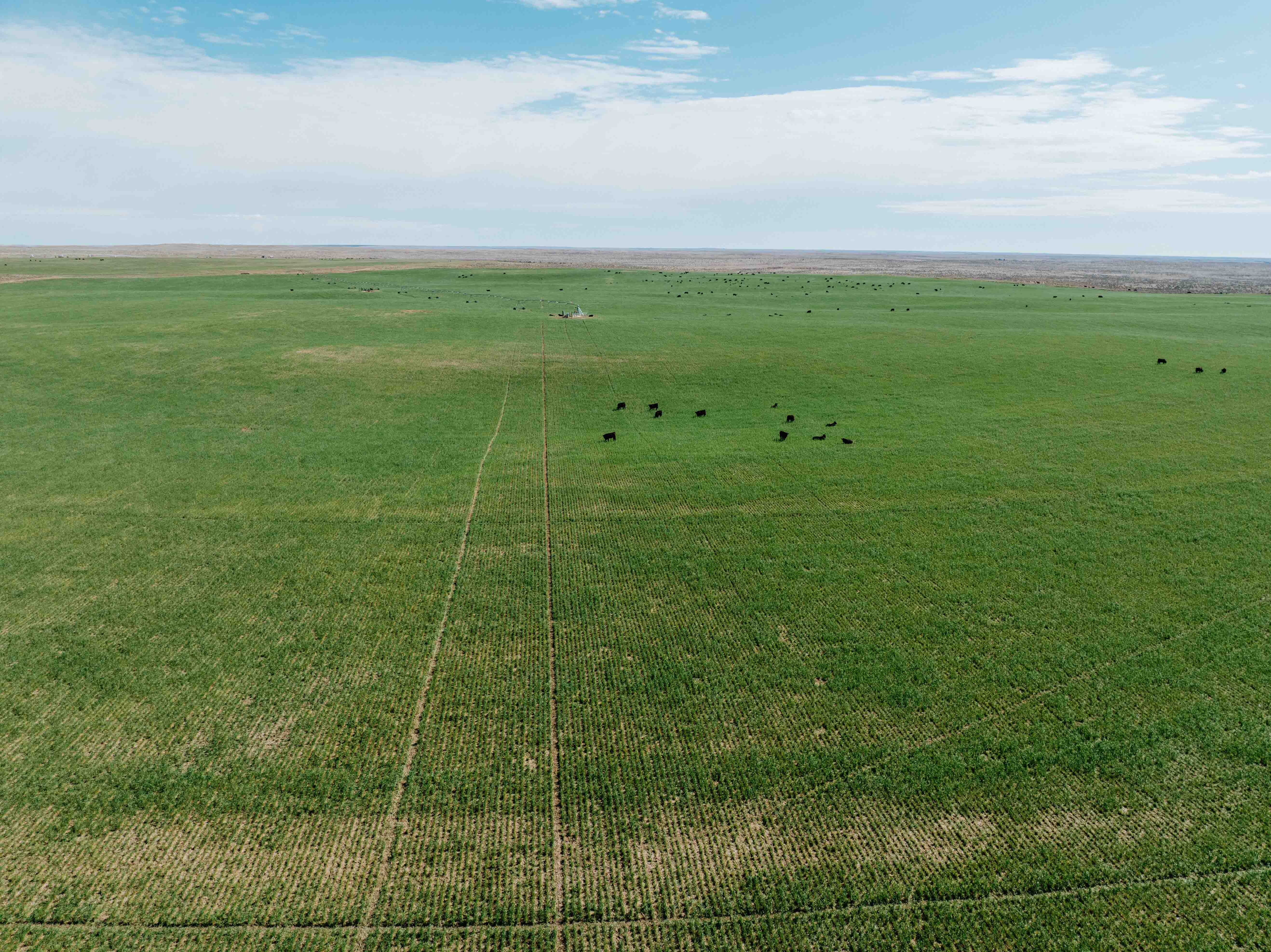 Scottsbluff, NE 68000 - image 20