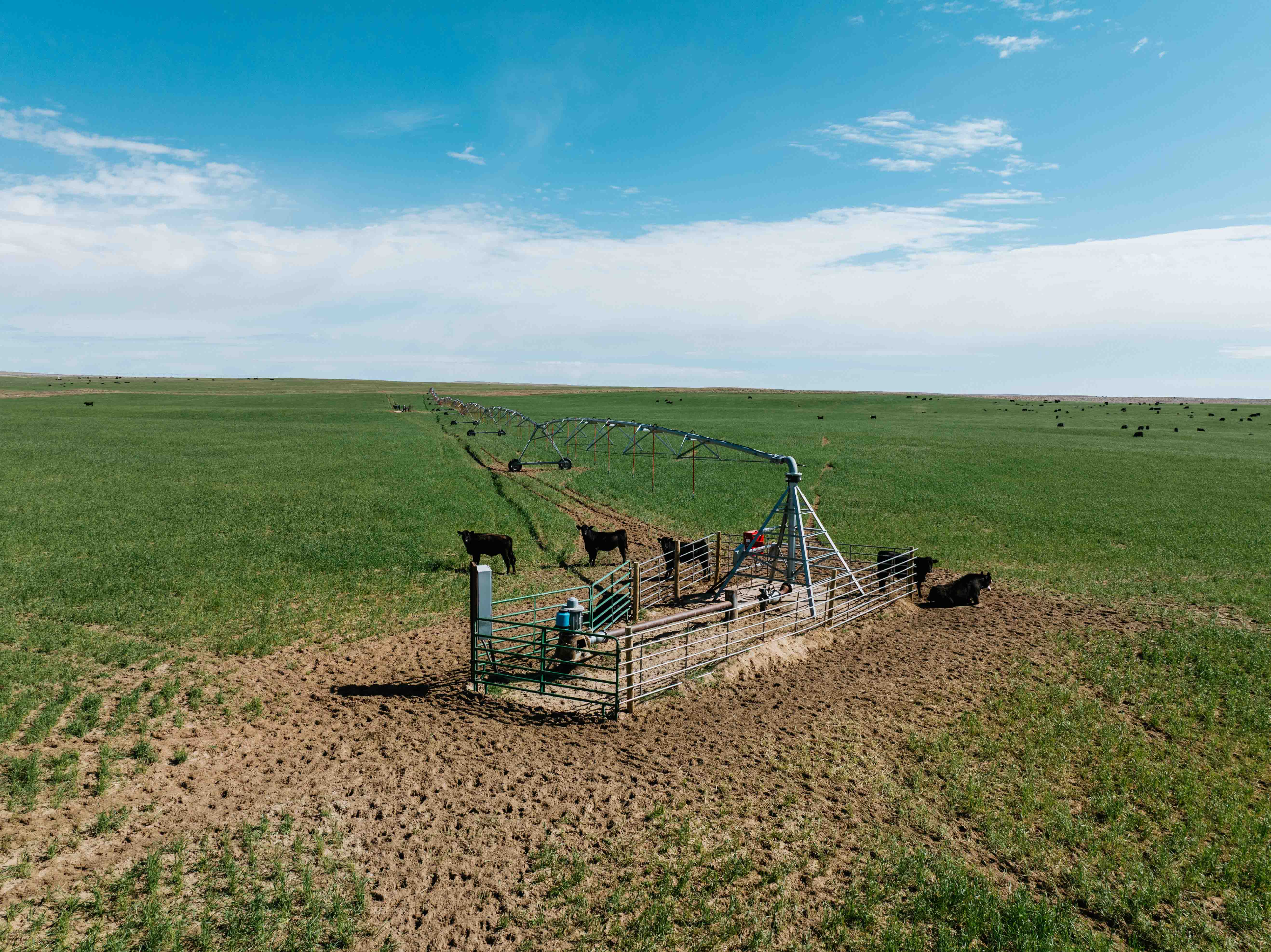 Scottsbluff, NE 68000 - image 21