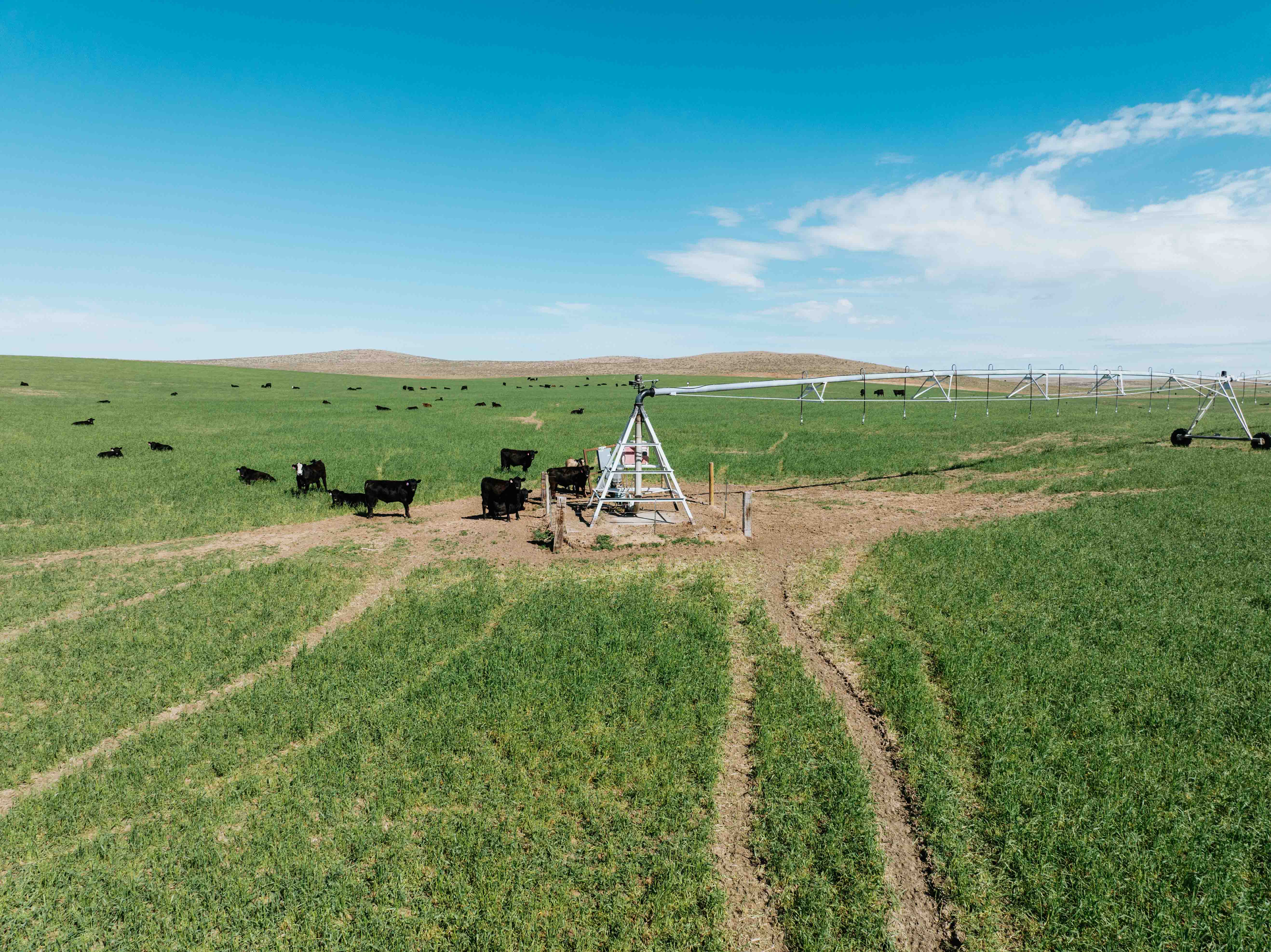Scottsbluff, NE 68000 - image 24