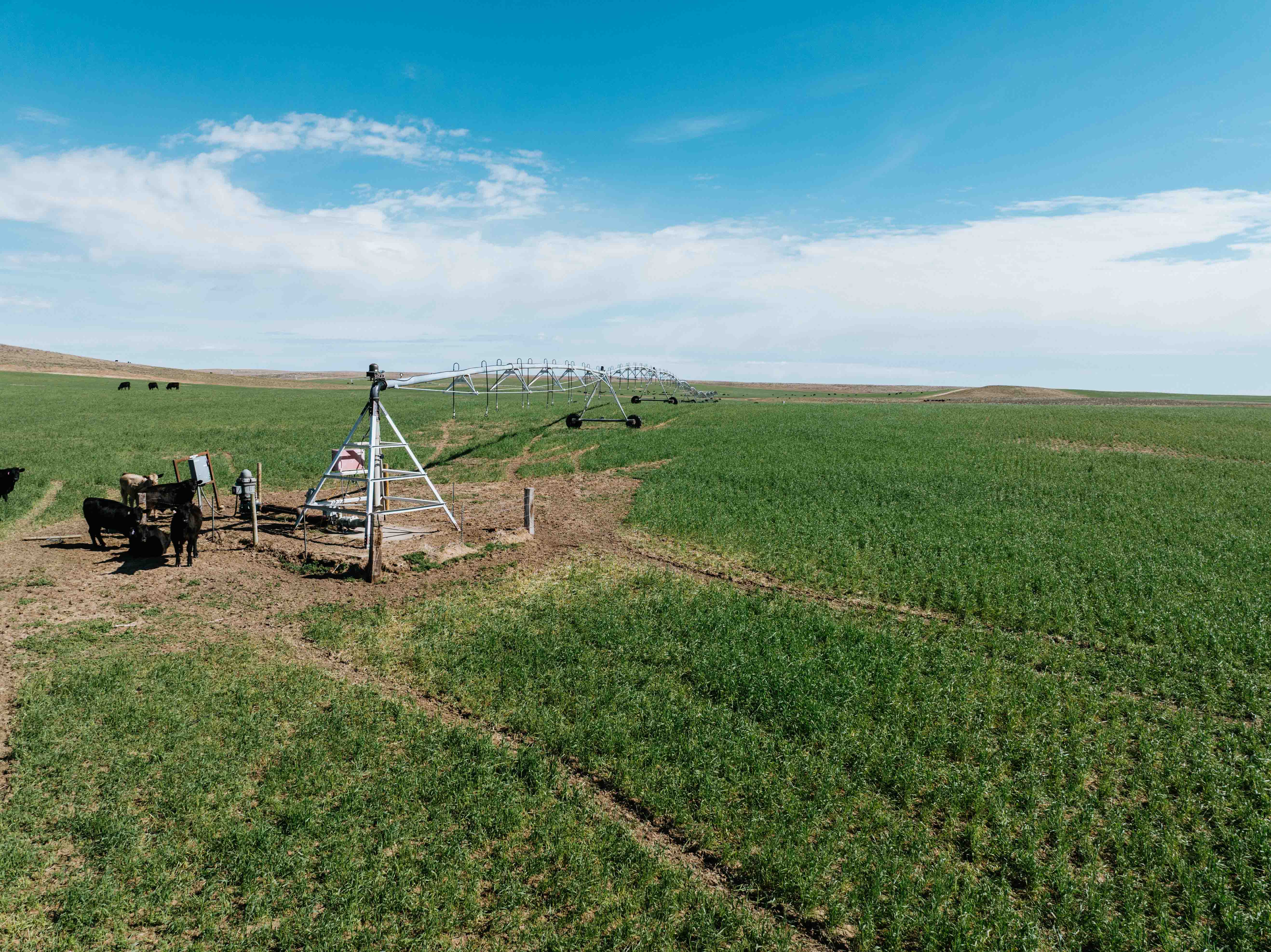 Scottsbluff, NE 68000 - image 49