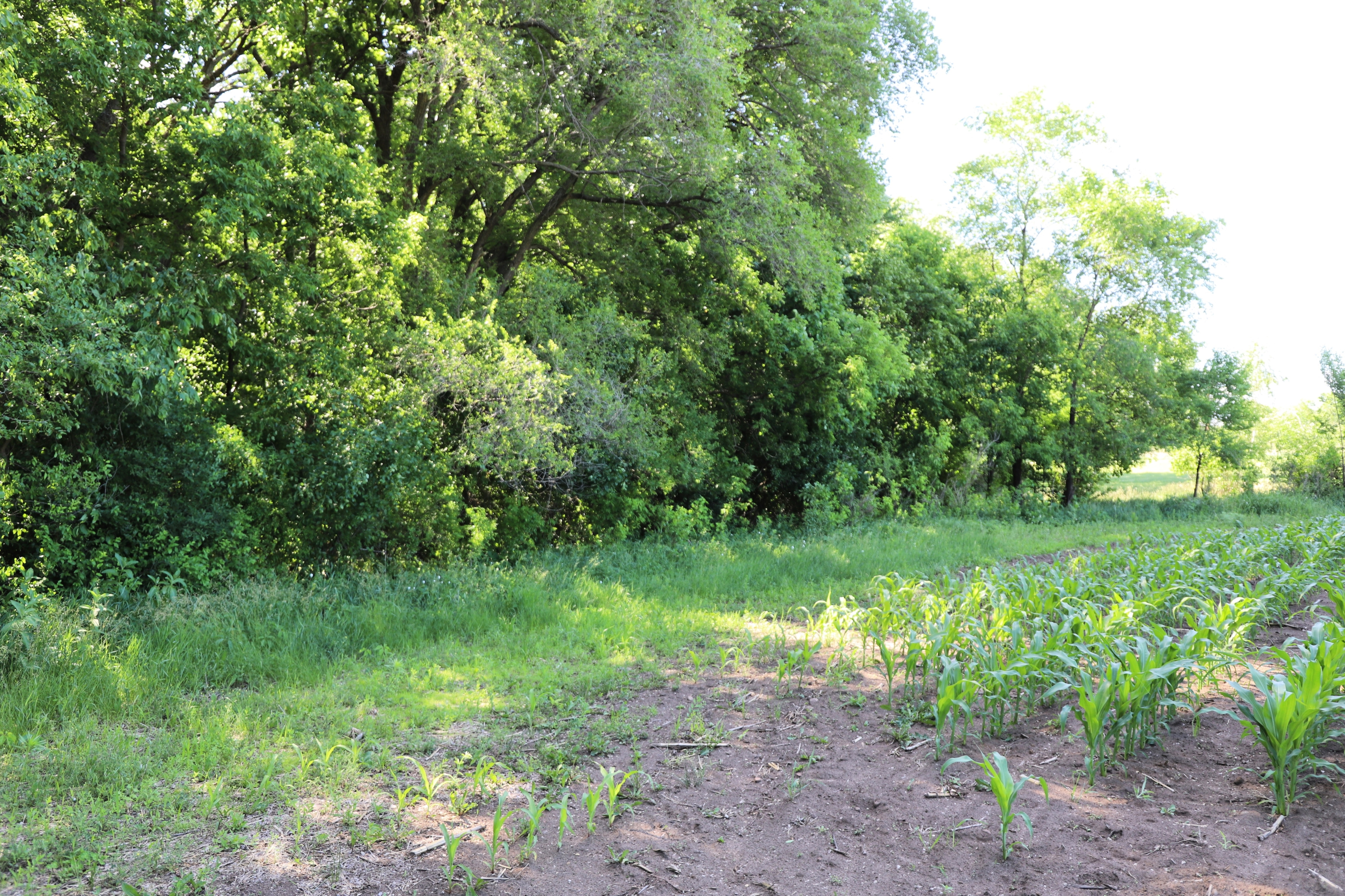 5320 County Road 6 - image 11
