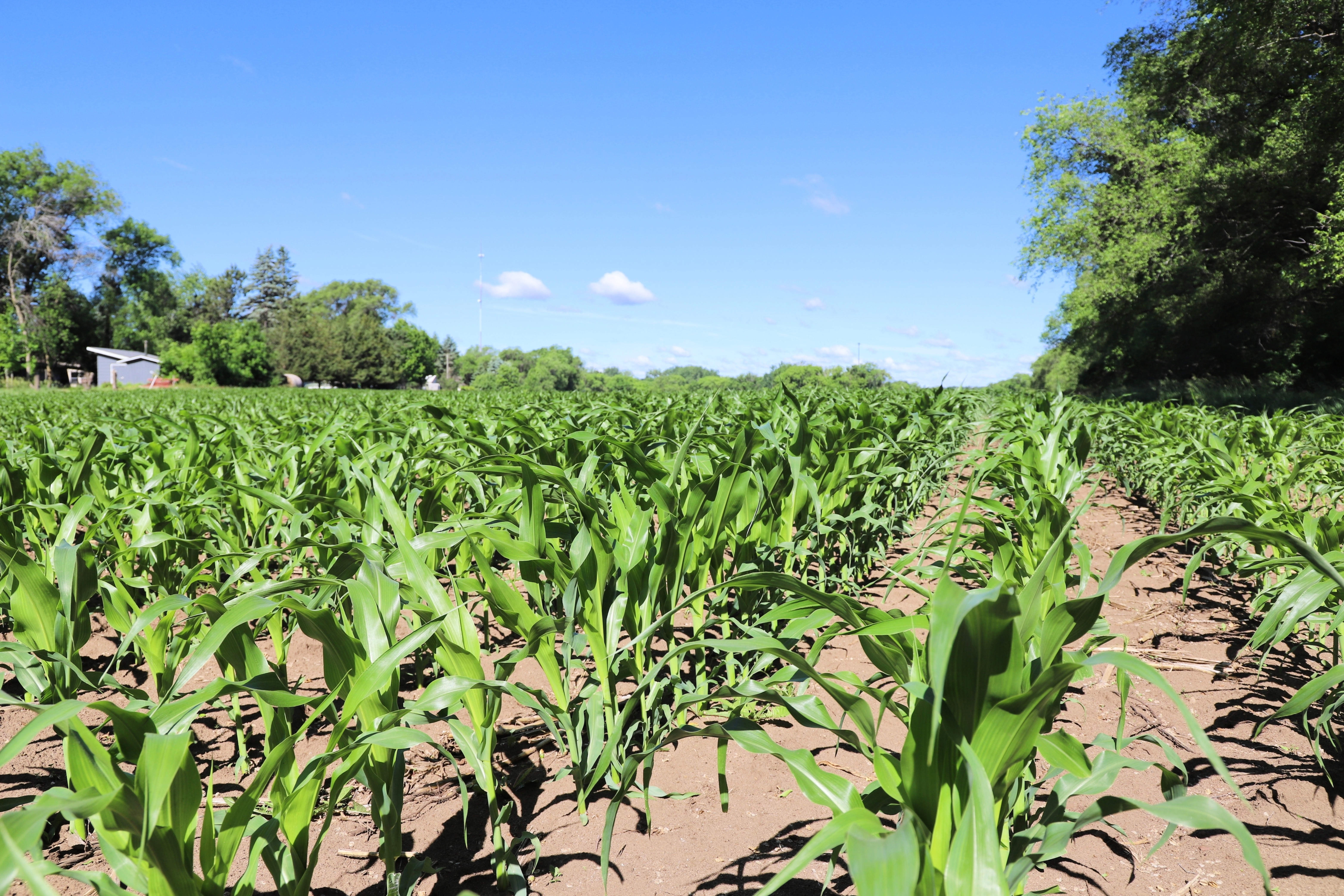 5320 County Road 6 - image 10