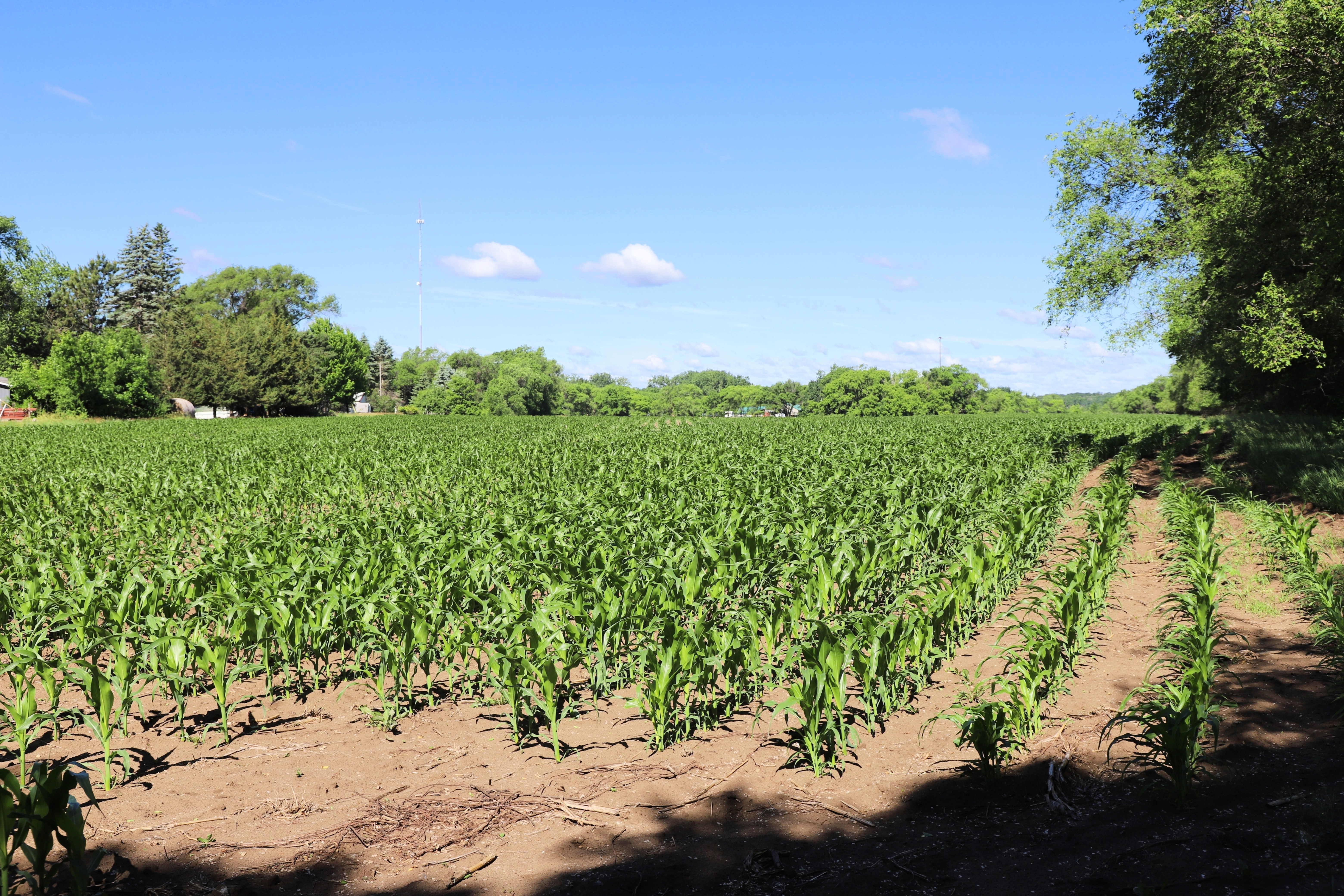 5320 County Road 6 - image 9