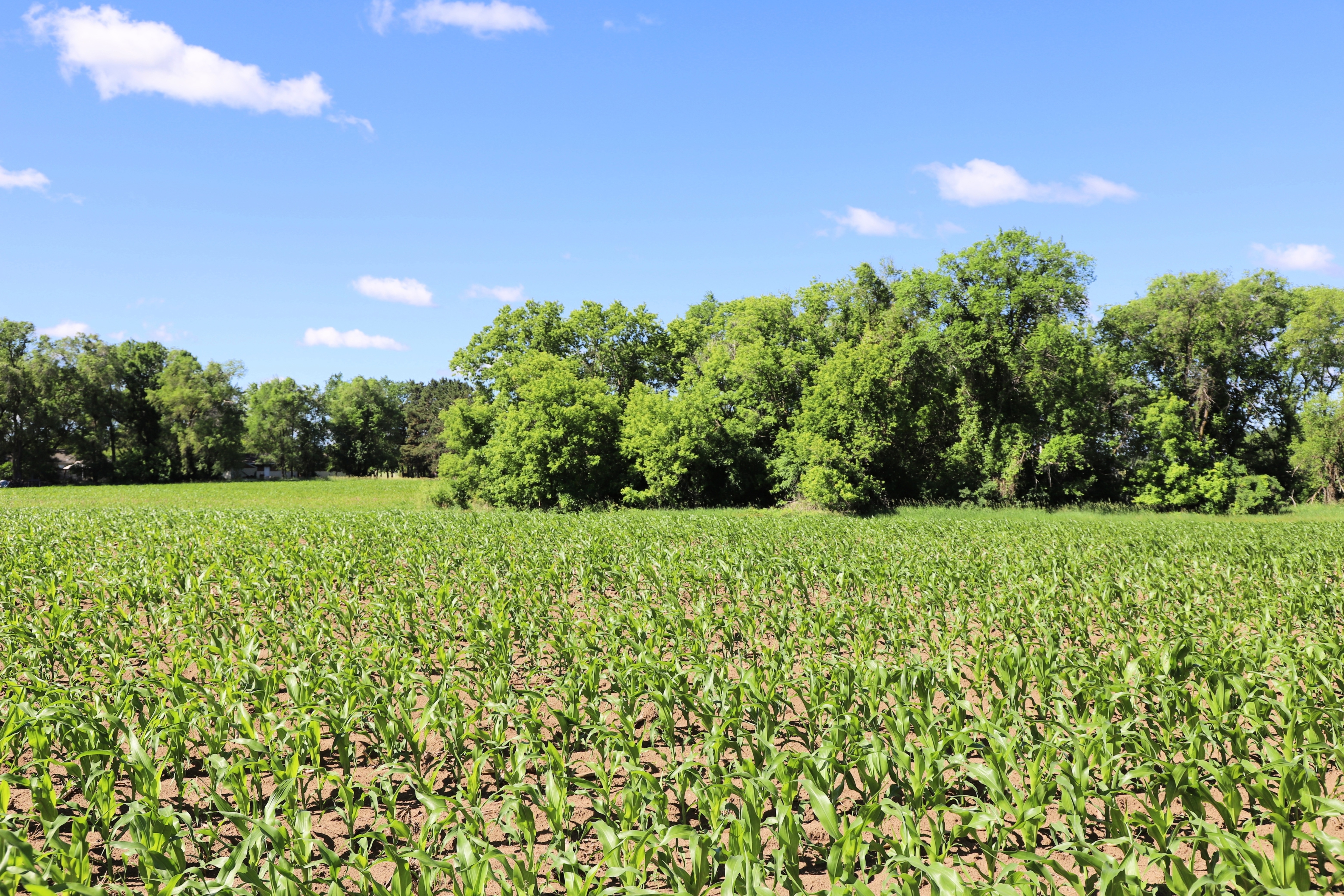 5320 County Road 6 - image 15