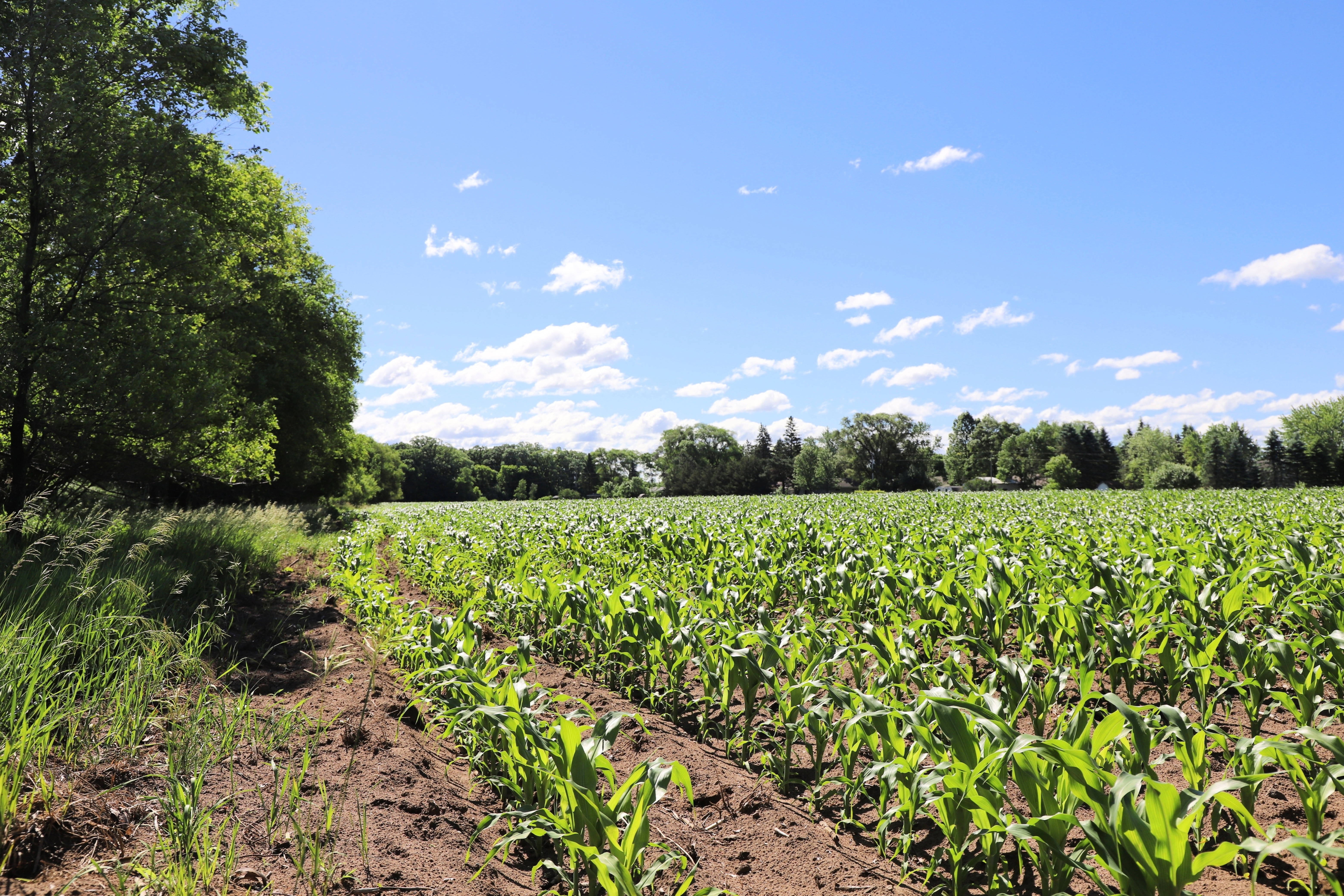 5320 County Road 6 - image 14
