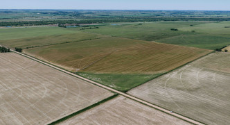 Lexington, NE 68850