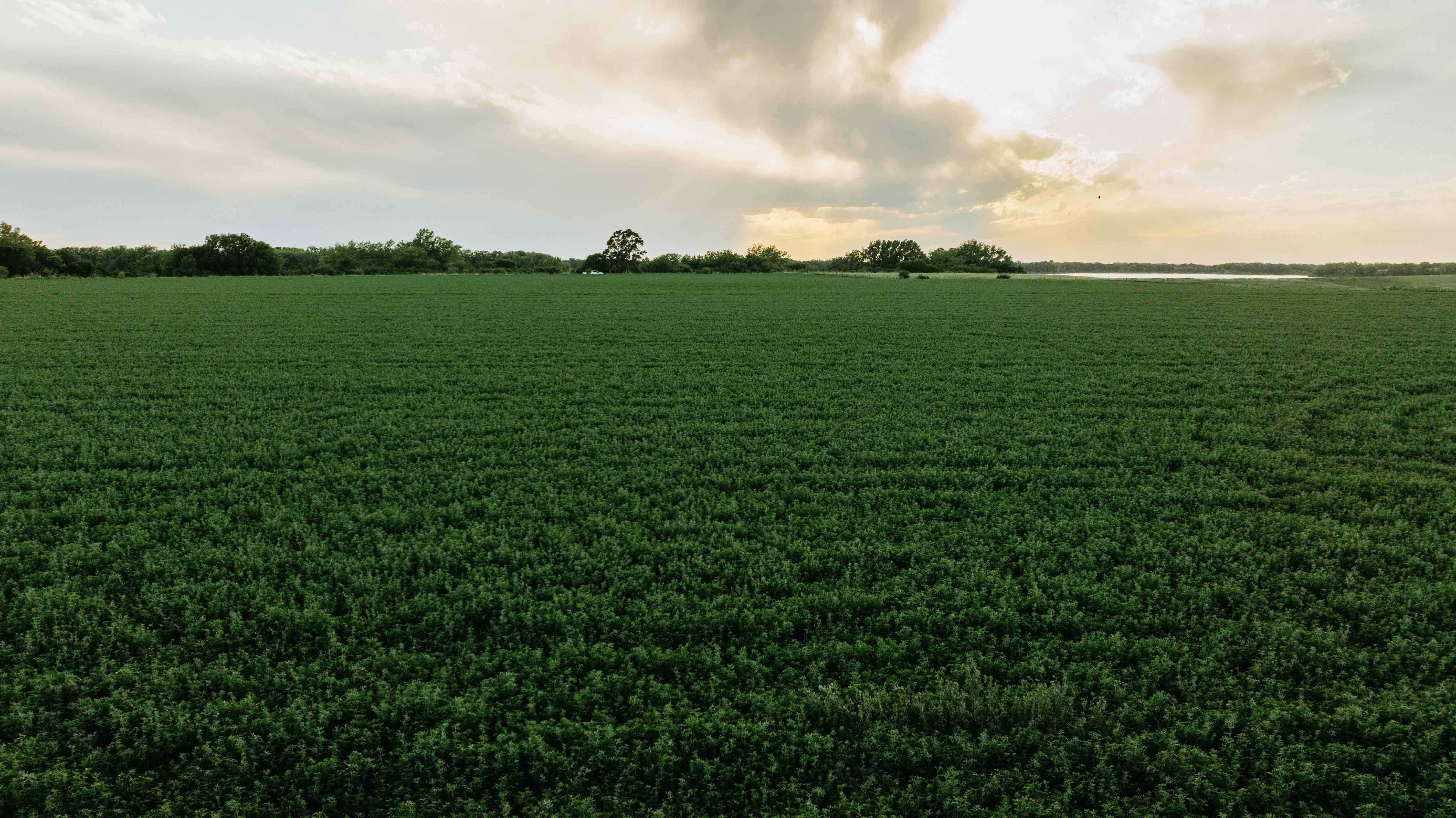 Elwood, NE 68937 - image 37