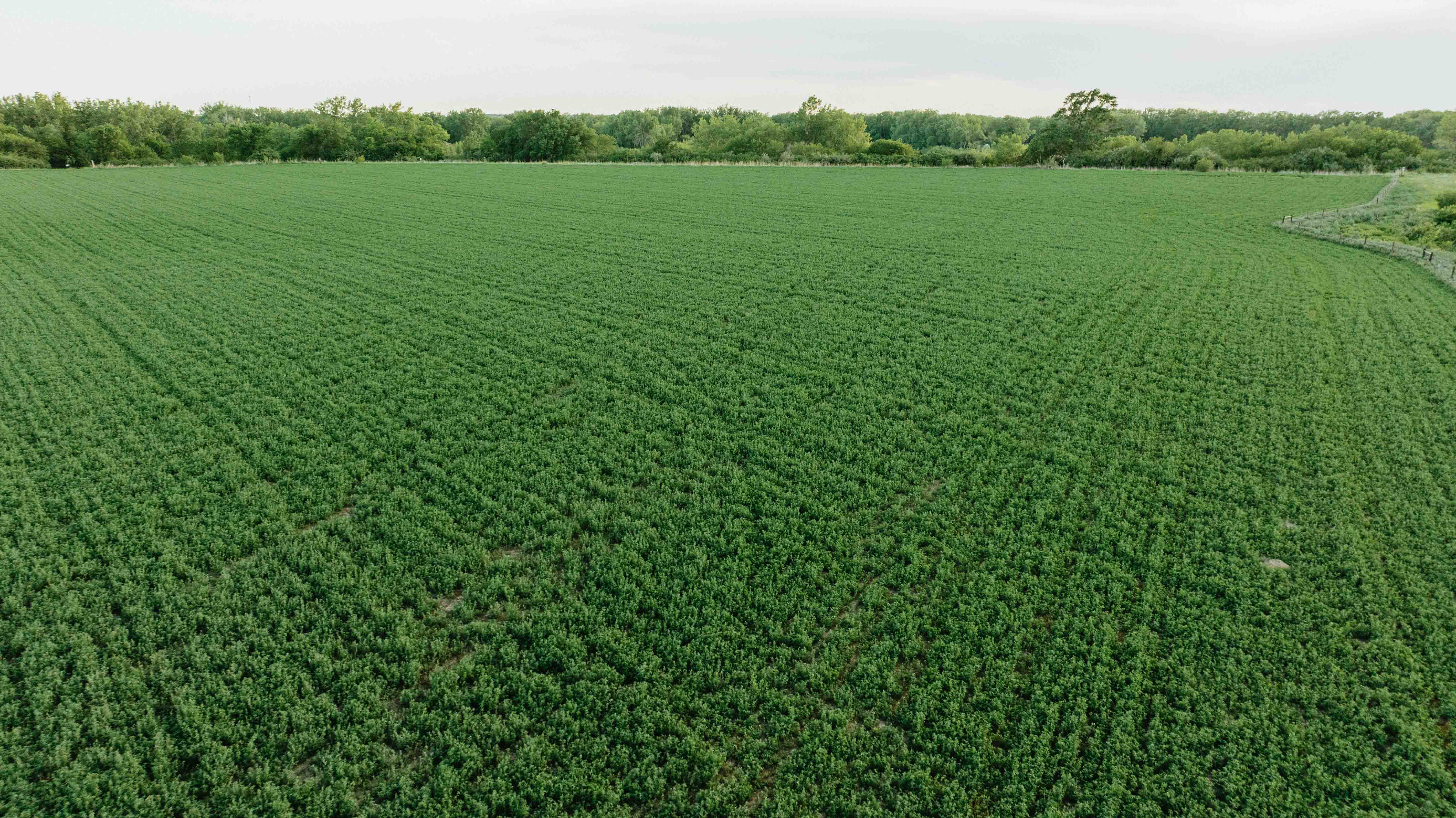 Elwood, NE 68937 - image 36