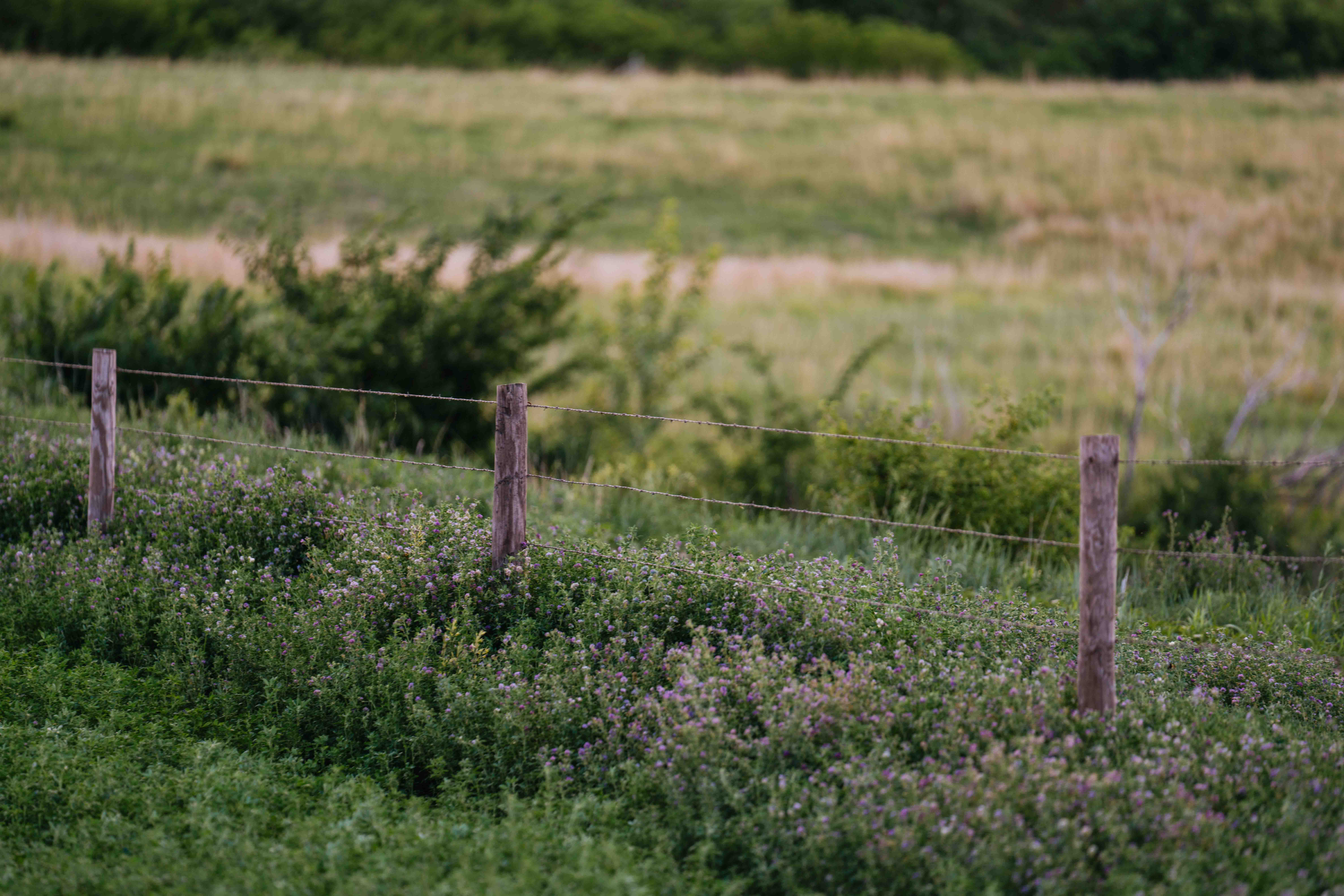 Elwood, NE 68937 - image 43