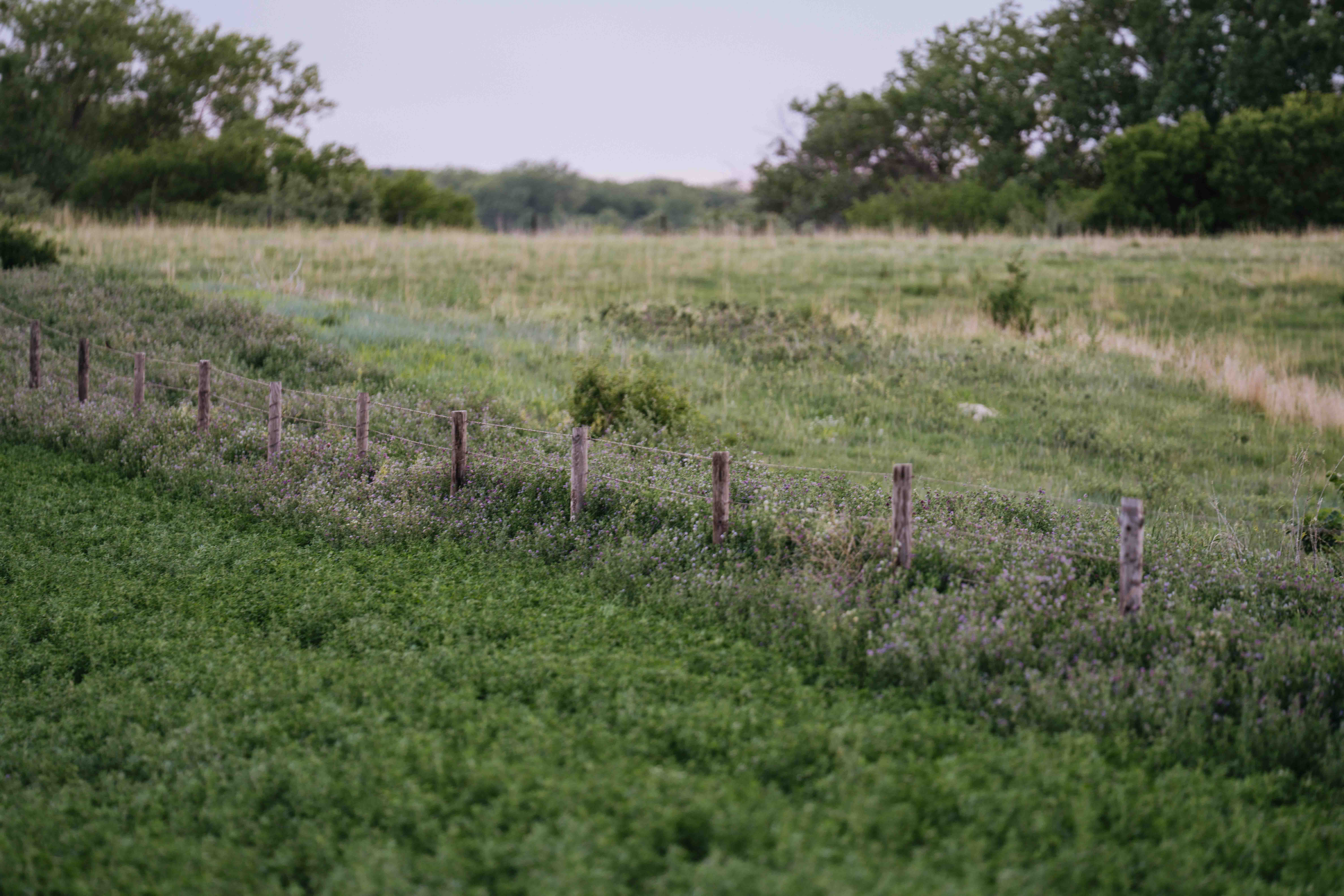 Elwood, NE 68937 - image 42