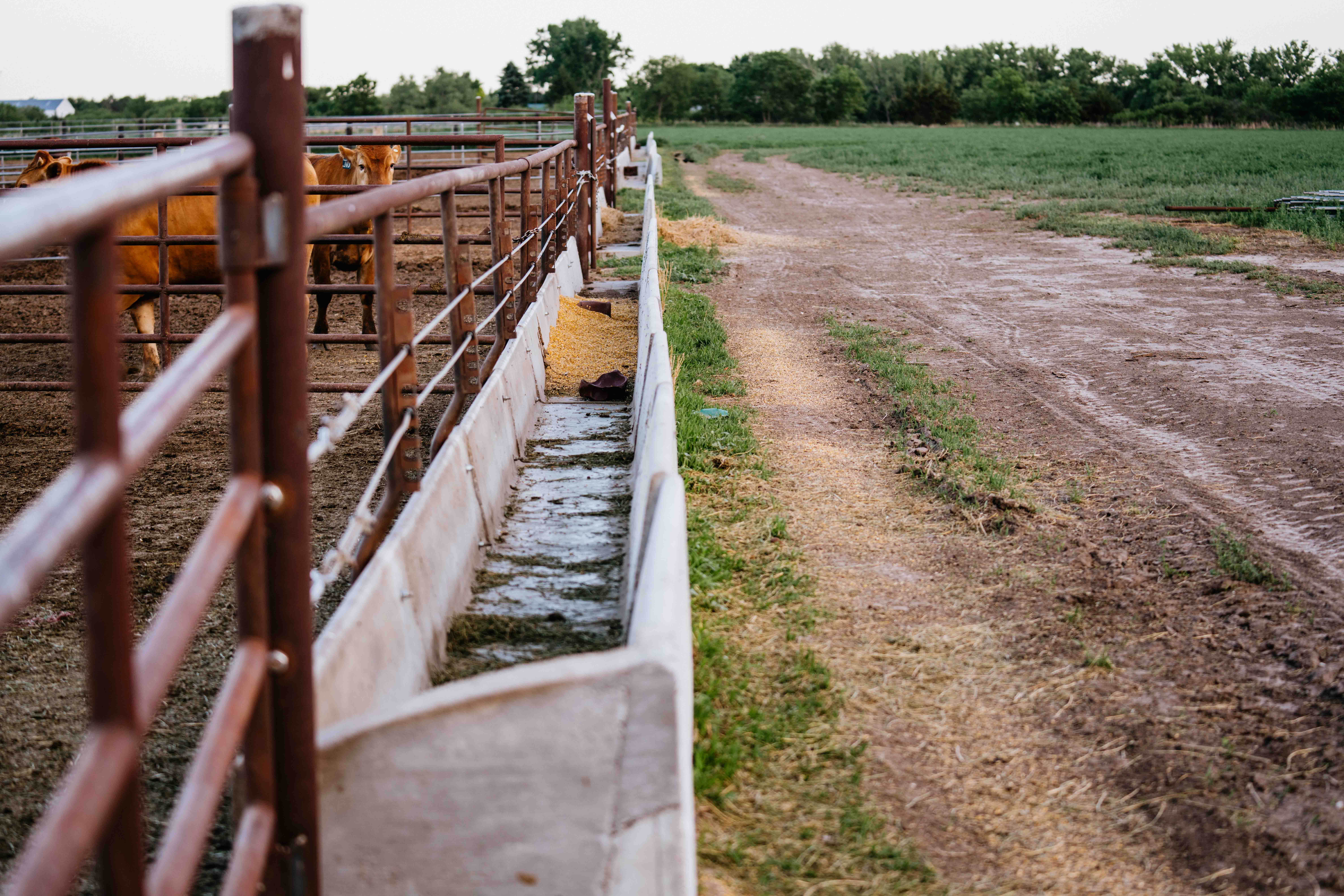 Elwood, NE 68937 - image 25