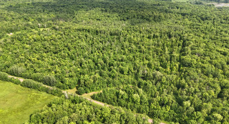 Exeland, WI 54835