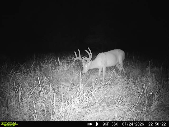 Kearney, NE 68845 - image 31