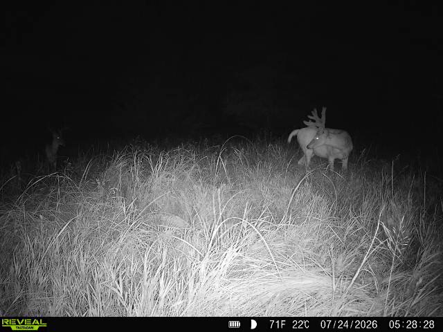 Kearney, NE 68845 - image 21