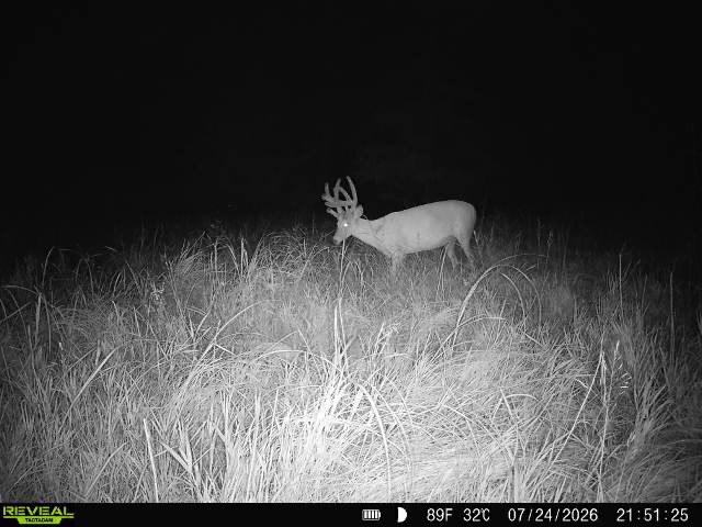 Kearney, NE 68845 - image 16
