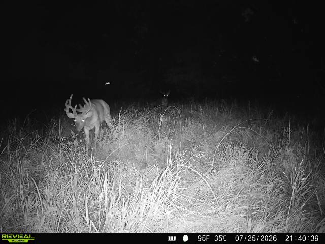 Kearney, NE 68845 - image 26