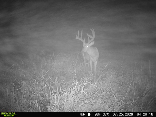 Kearney, NE 68845 - image 20