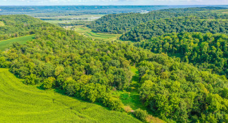 Caledonia, MN 55921