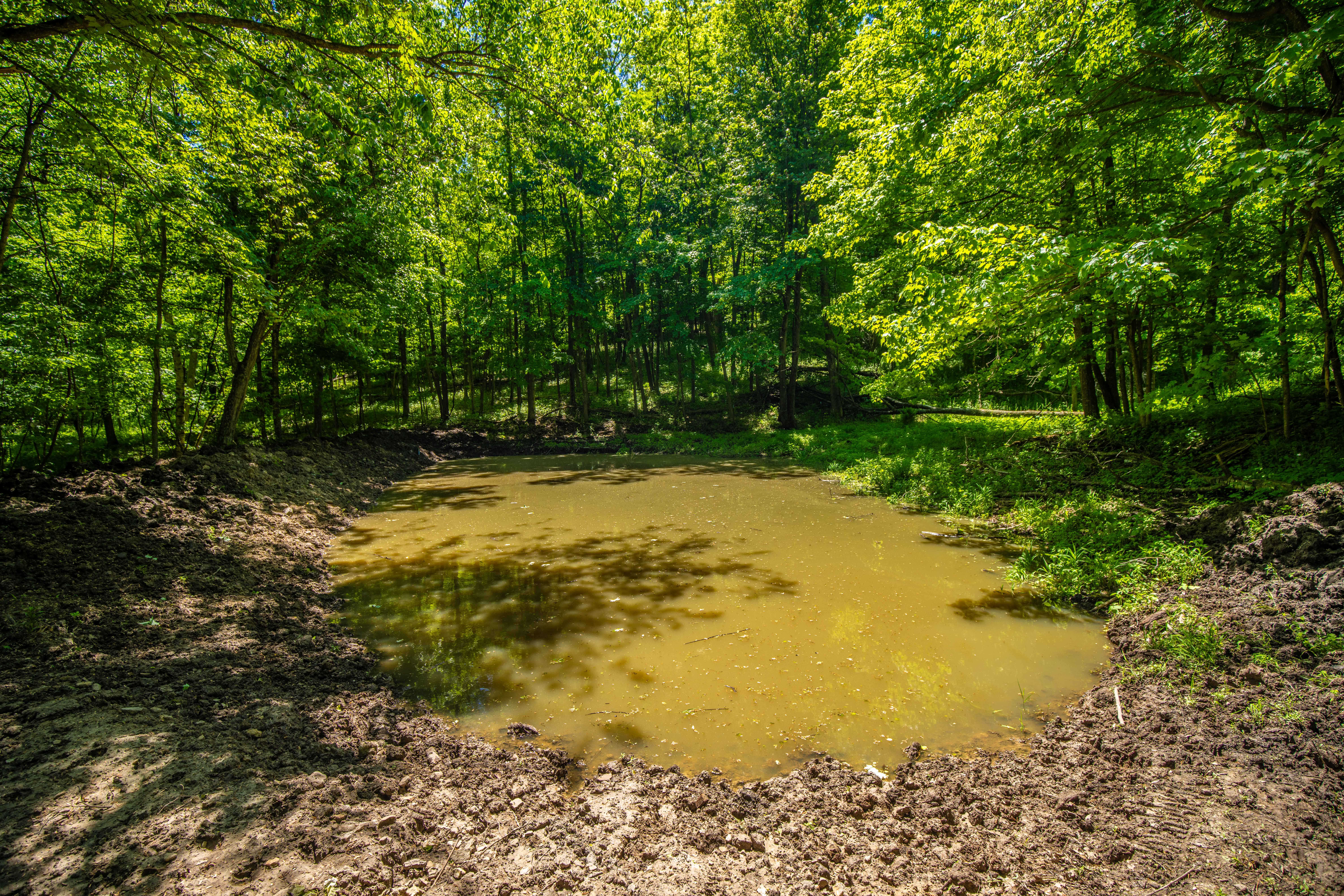 22727 BELL HOLLOW LANE - image 25