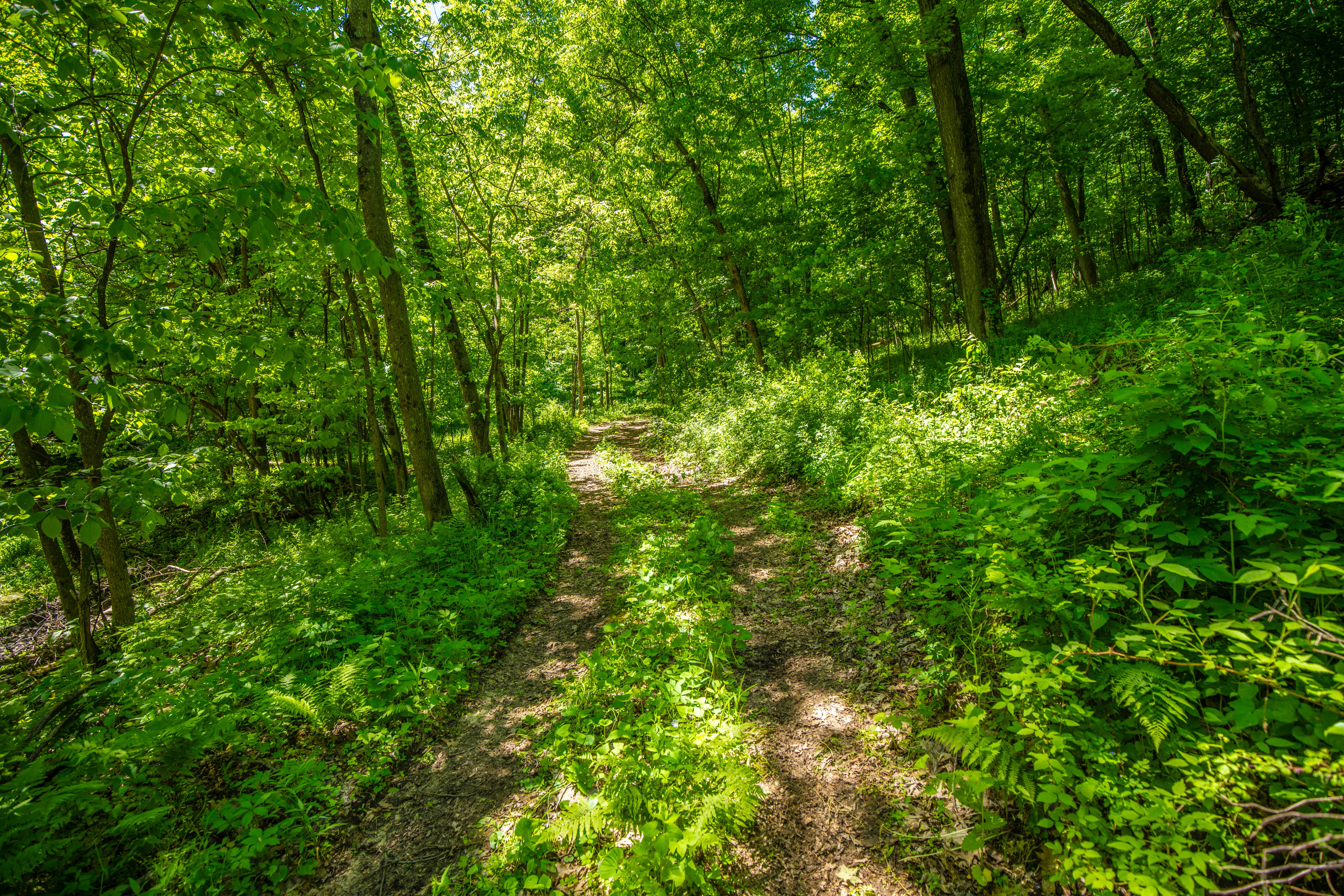 22727 BELL HOLLOW LANE - image 28