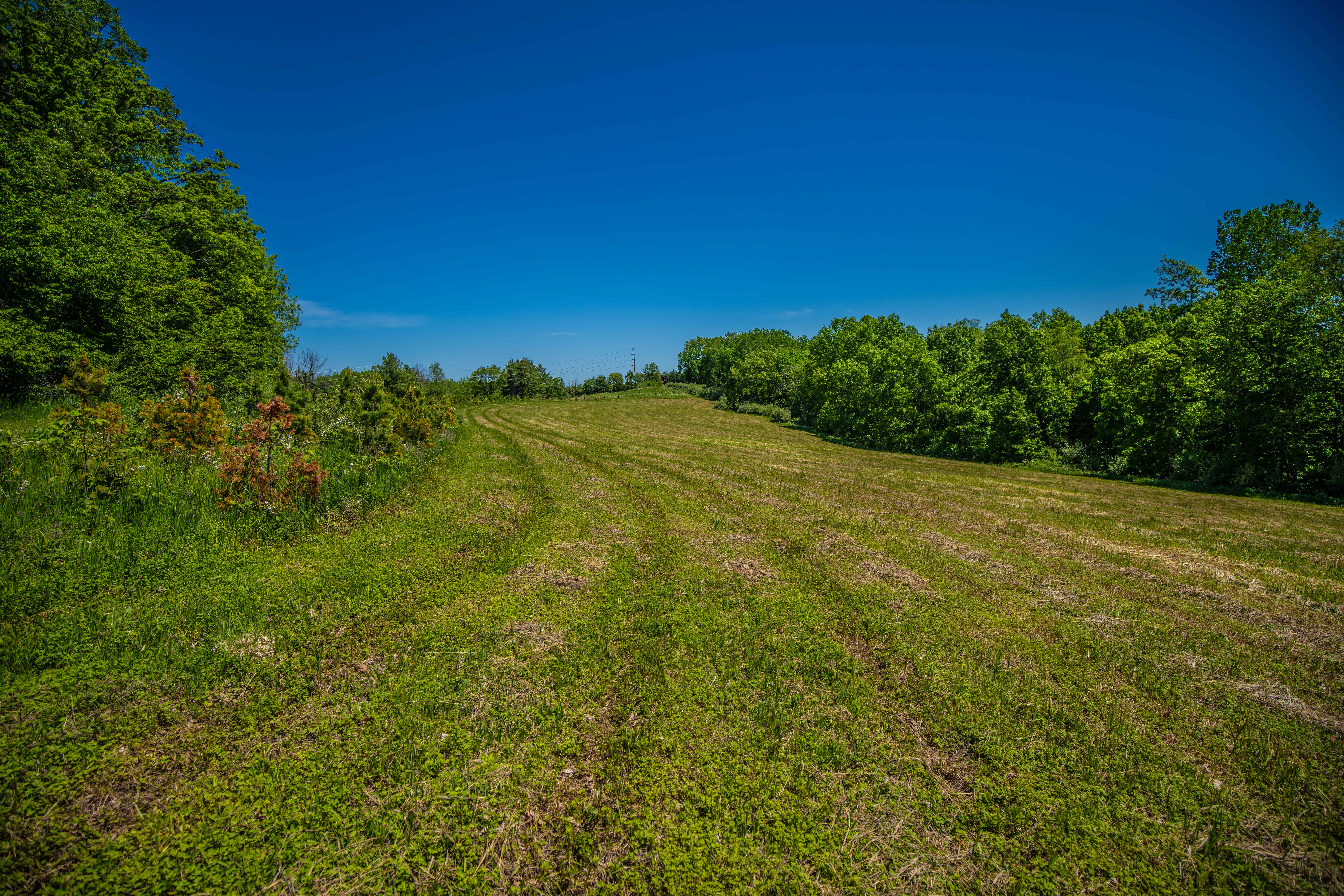 22727 BELL HOLLOW LANE - image 29