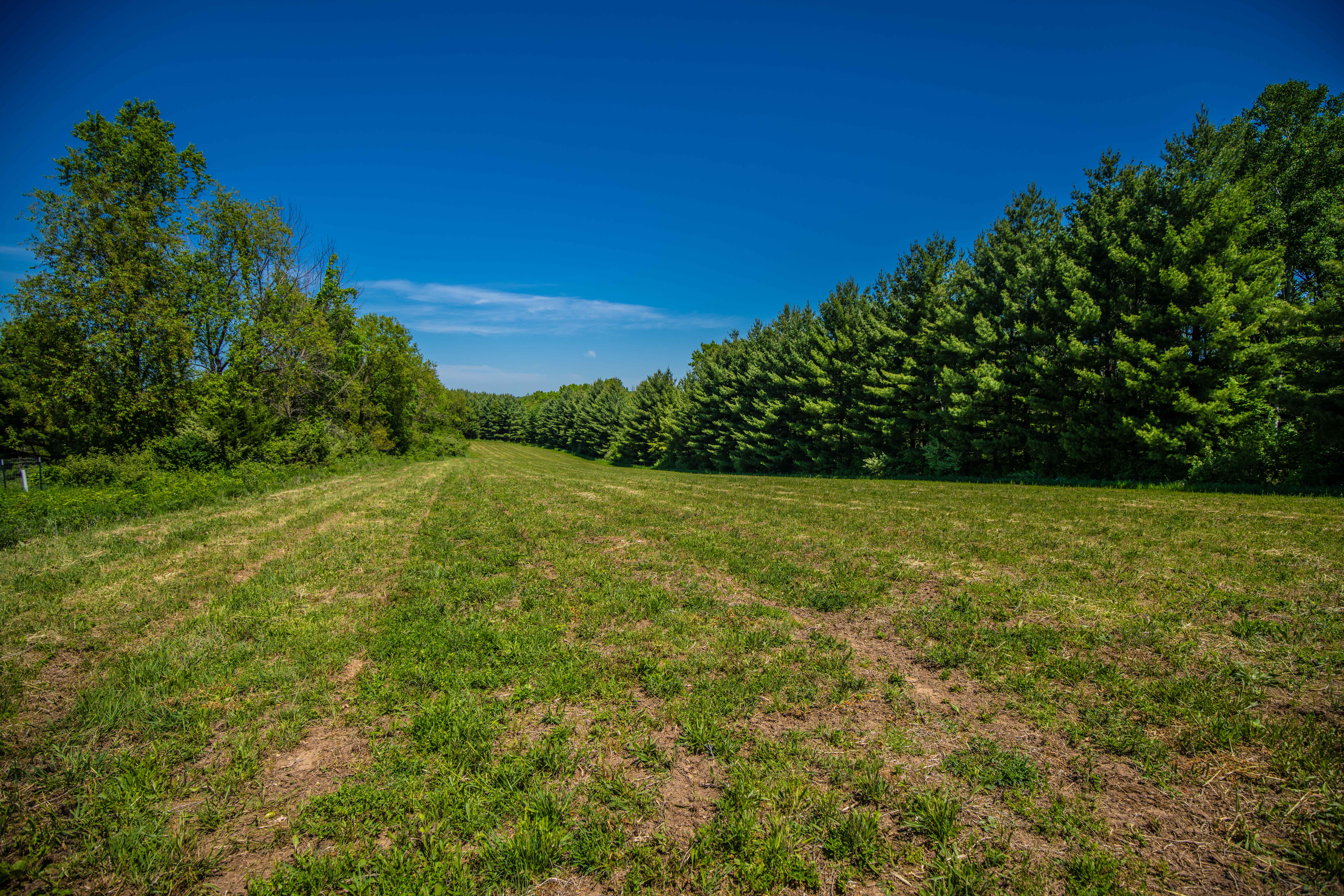 22727 BELL HOLLOW LANE - image 32