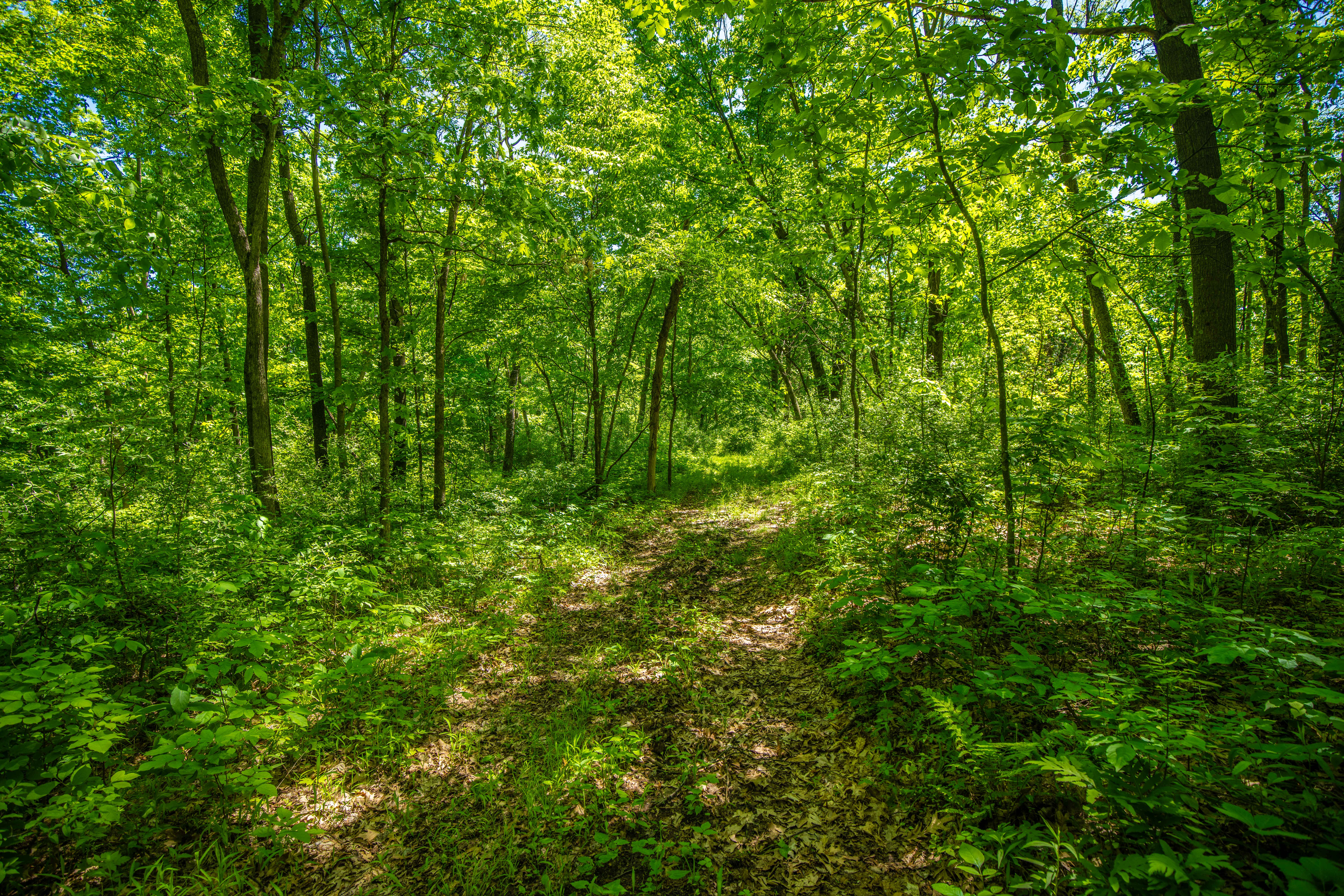 22727 BELL HOLLOW LANE - image 34