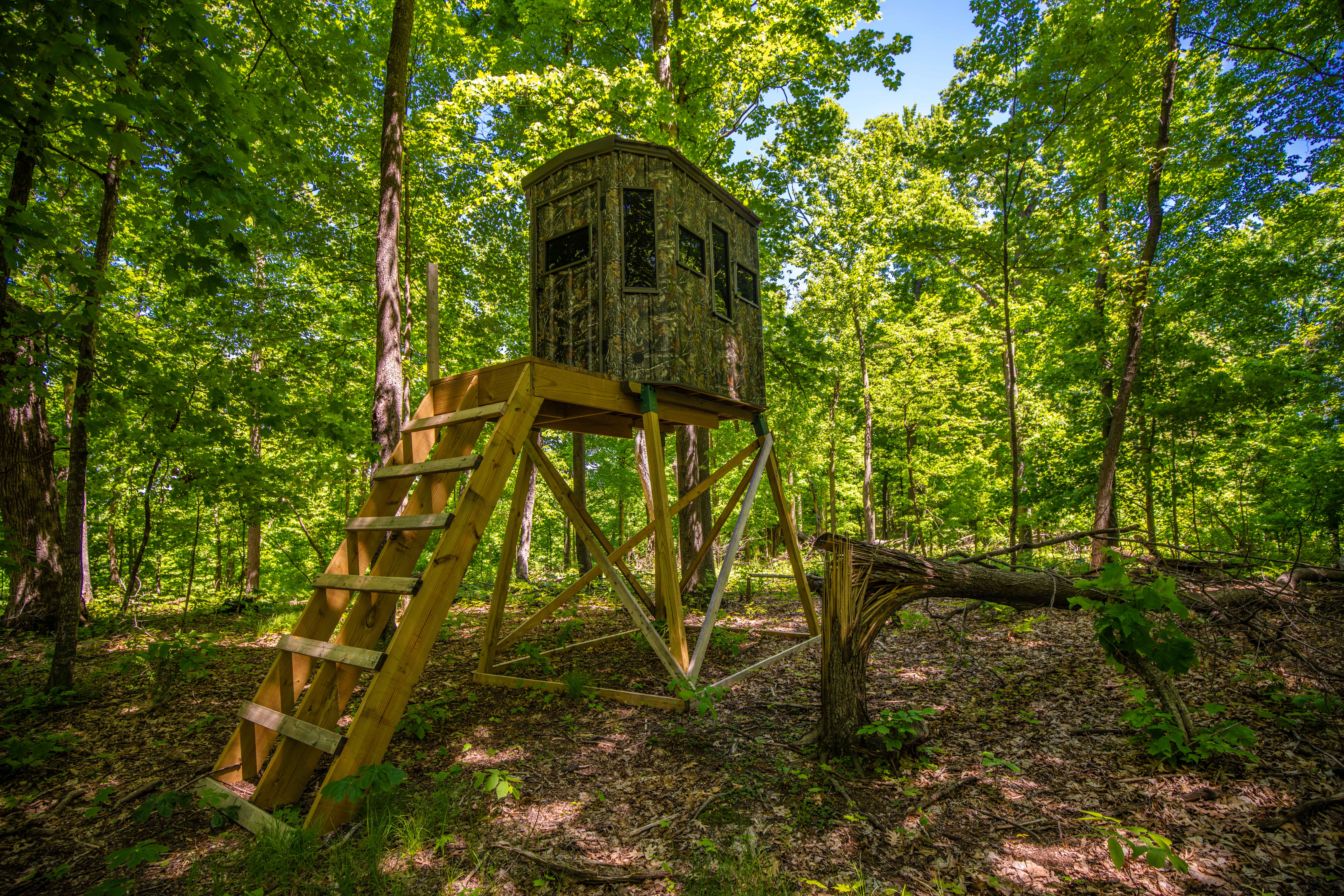 22727 BELL HOLLOW LANE - image 35