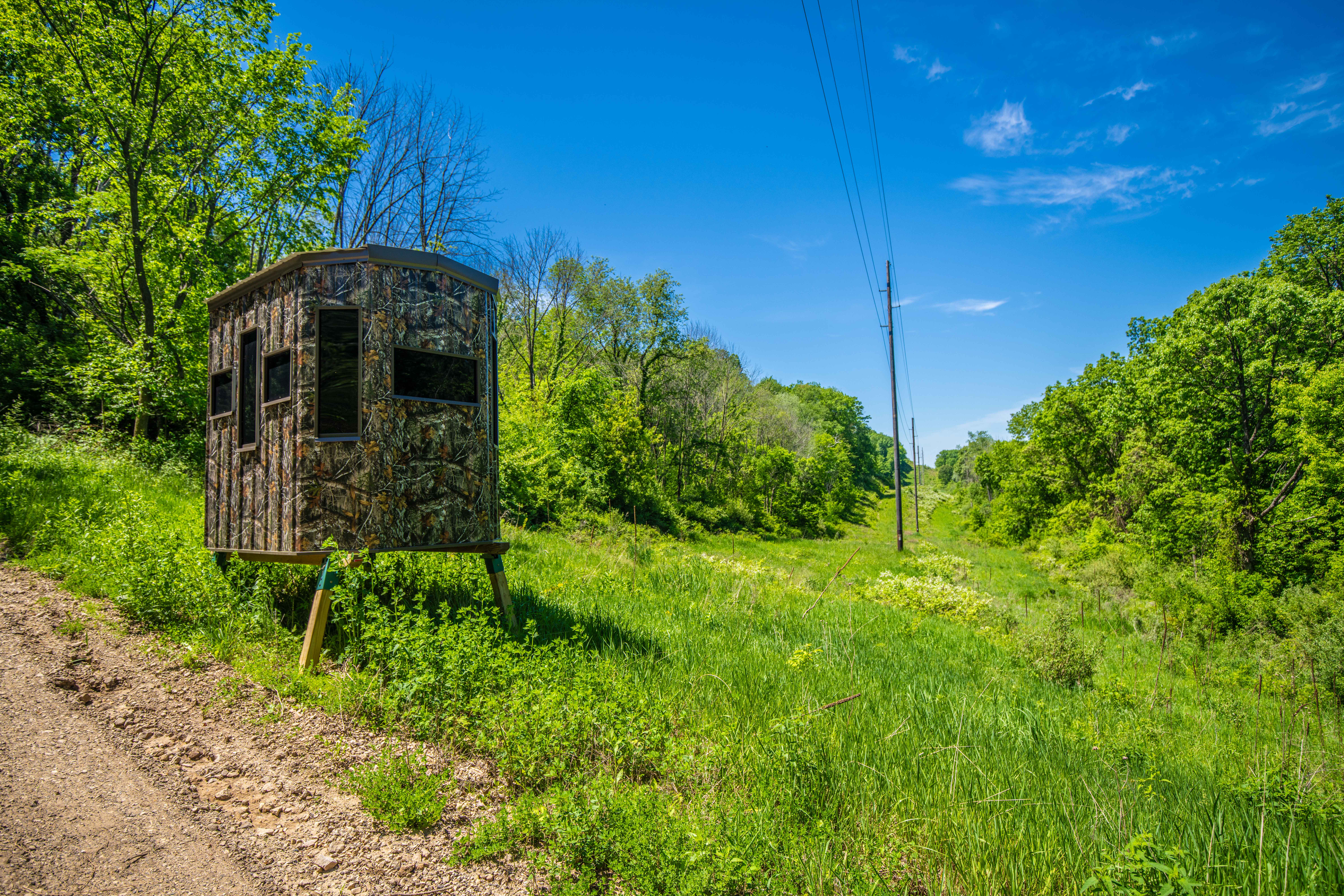 22727 BELL HOLLOW LANE - image 38