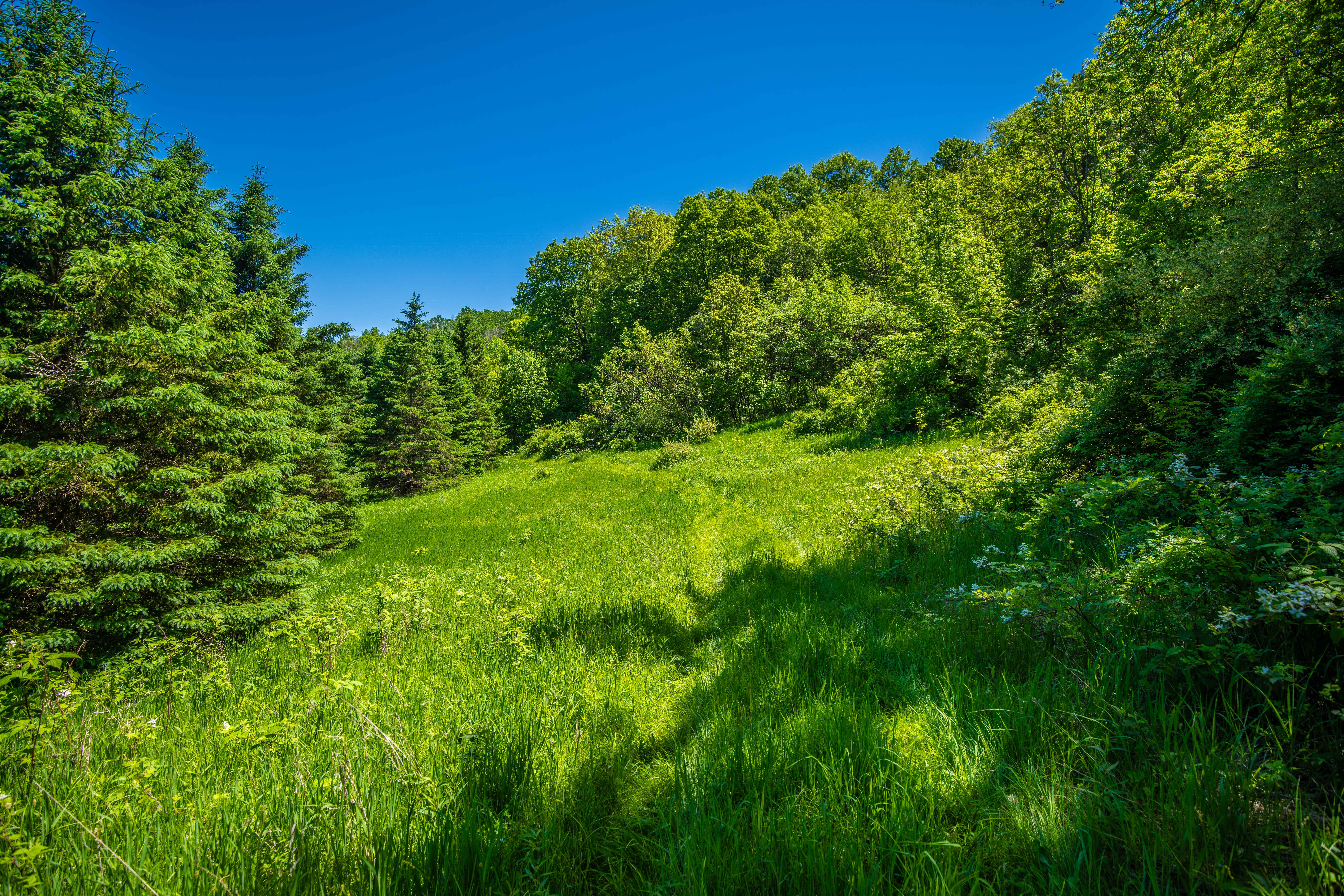 22727 BELL HOLLOW LANE - image 39