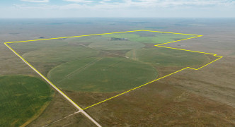 Wallace, NE 69169