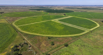 Bassett, NE 68714