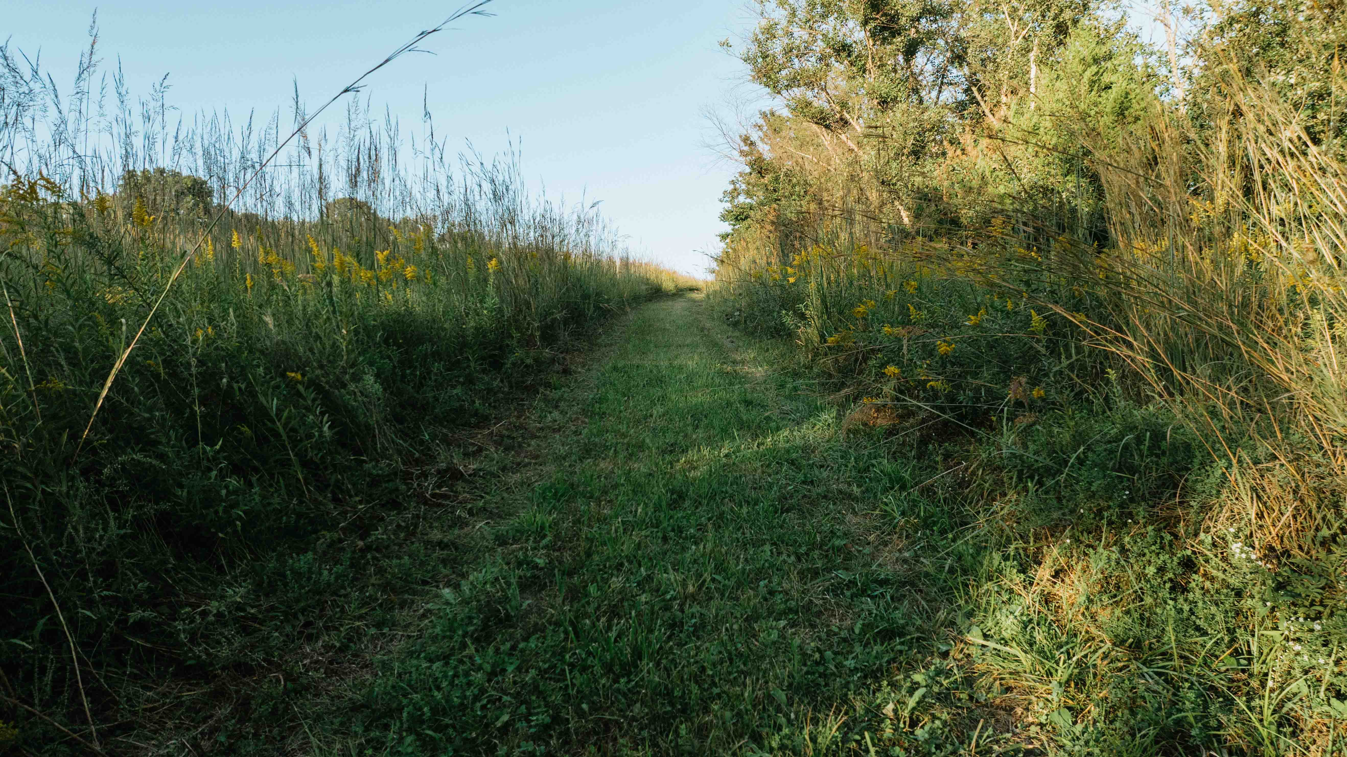 Douds, IA 52551 - image 22