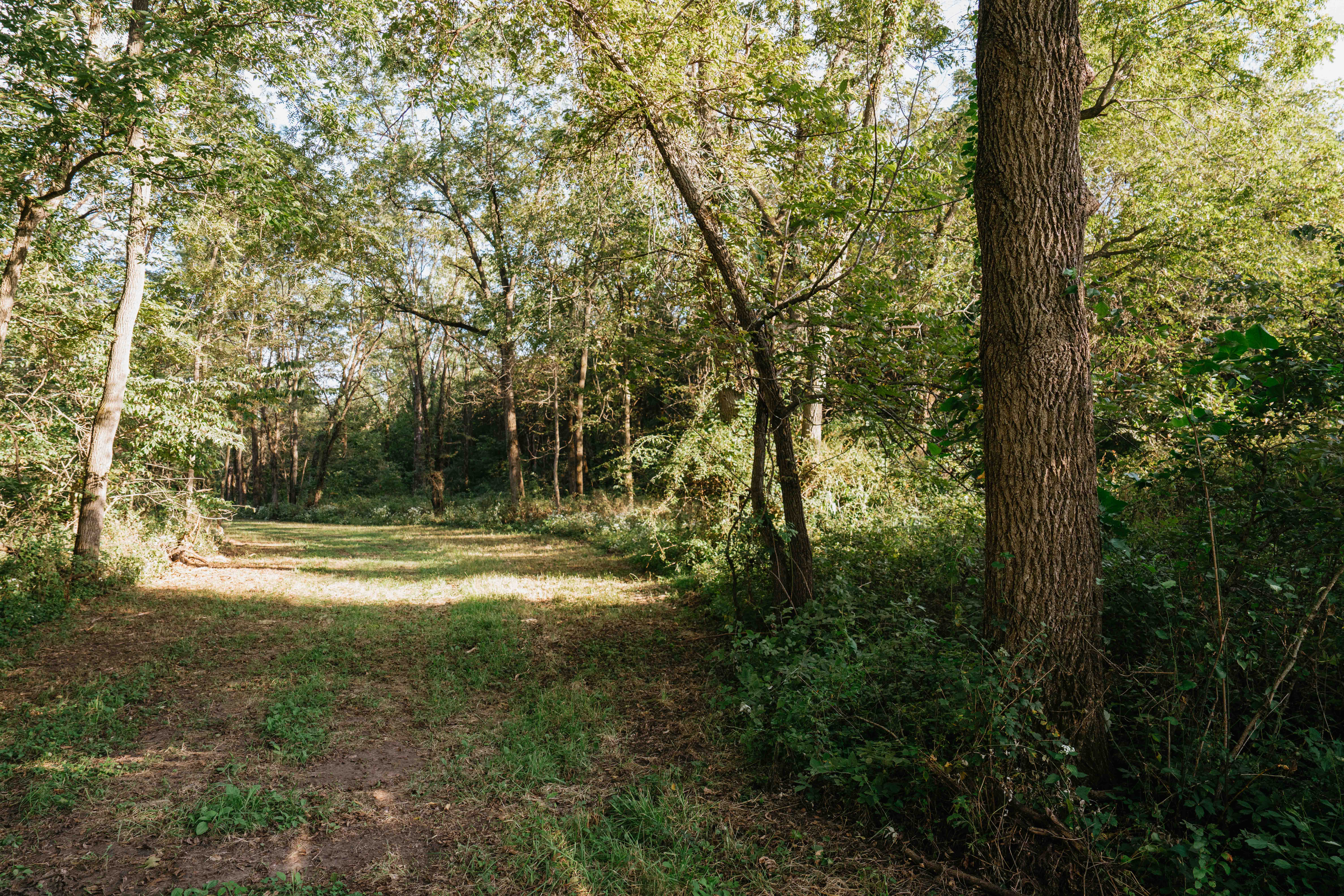 Douds, IA 52551 - image 29