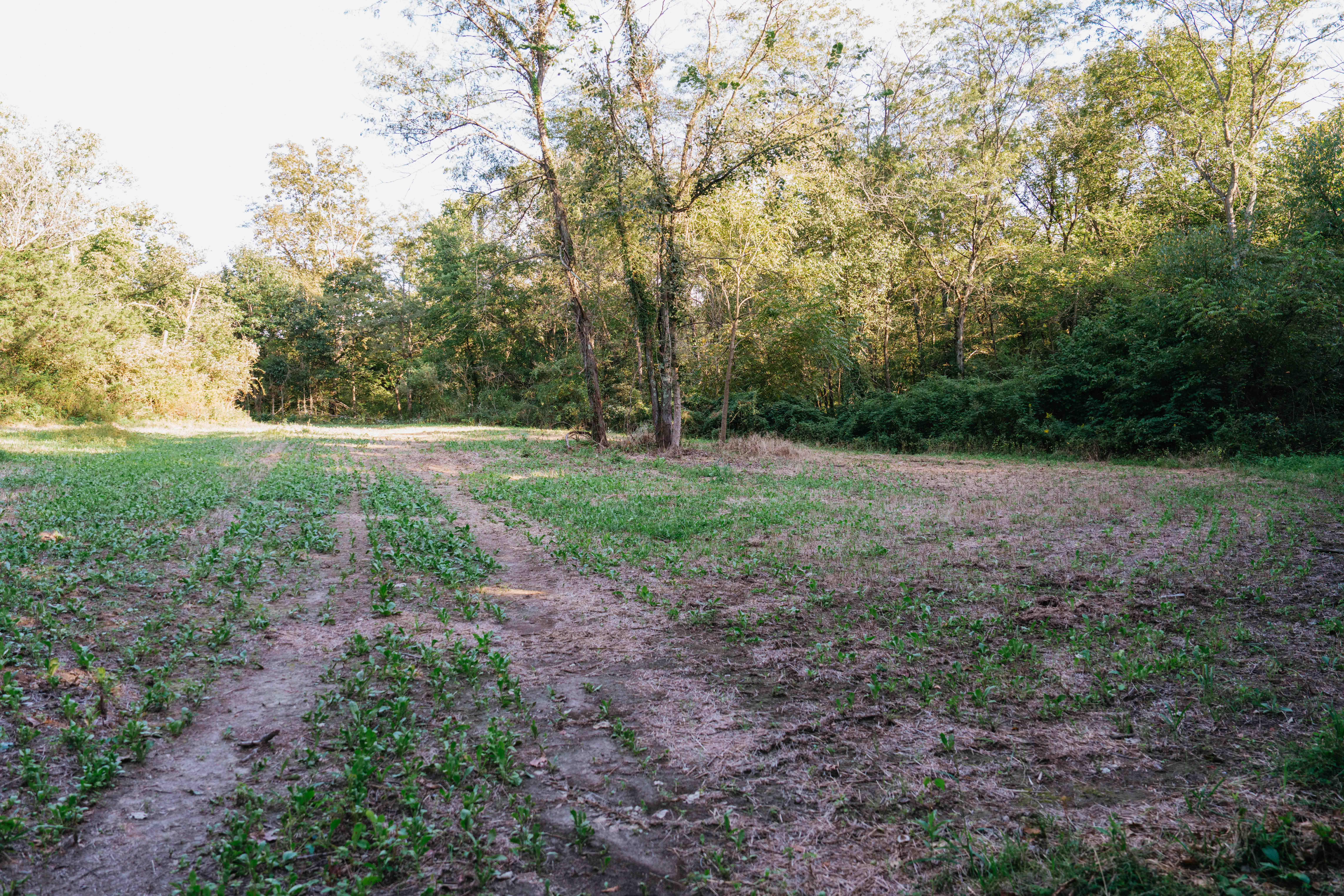 Douds, IA 52551 - image 35