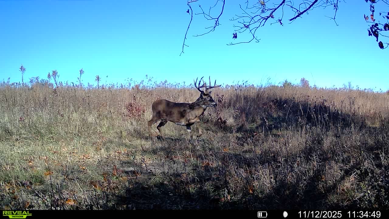 Douds, IA 52551 - image 33
