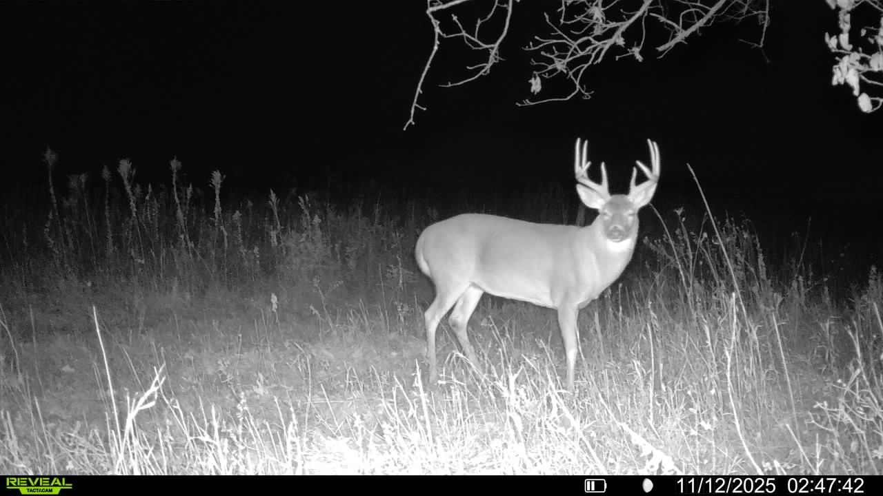 Douds, IA 52551 - image 41