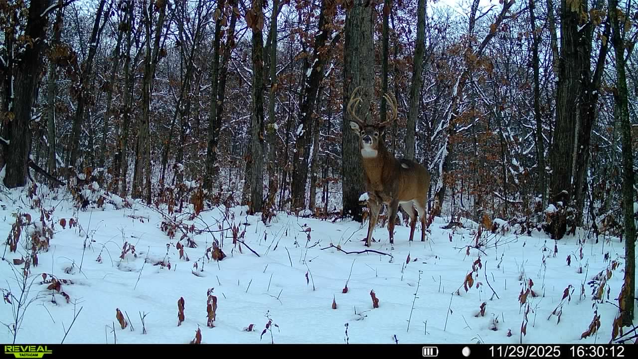 Douds, IA 52551 - image 42