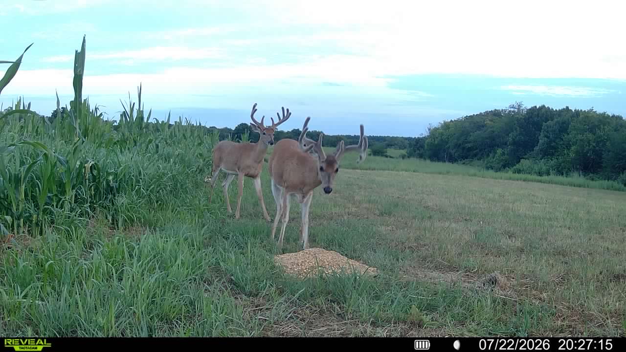 Douds, IA 52551 - image 43